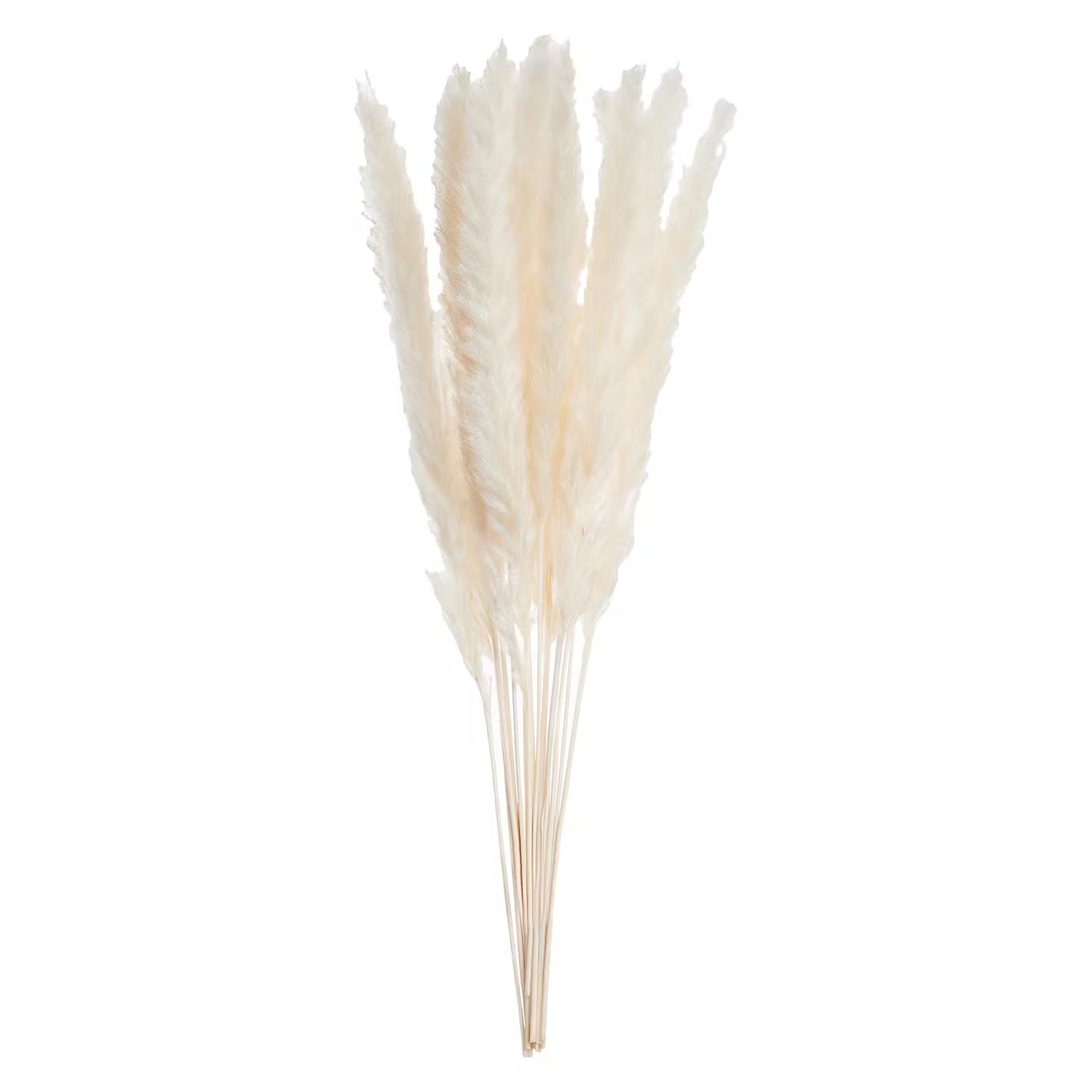 FLOWER MARKET Trockenblumen Pampasgras – Boho Deko – BUTLERS