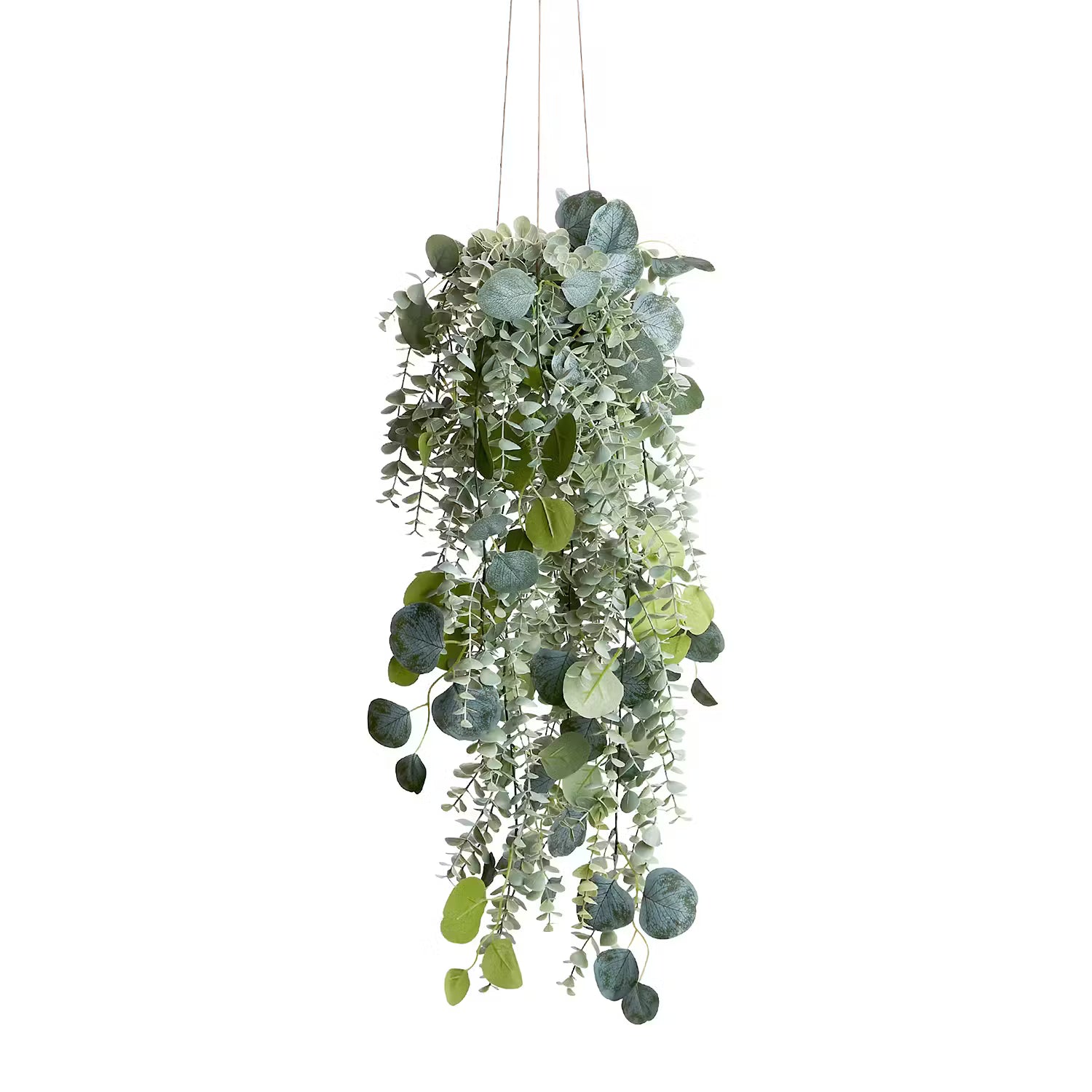 FLORISTA Kunsthängepflanze Eukalyptus – jetzt shoppen ✨ – BUTLERS