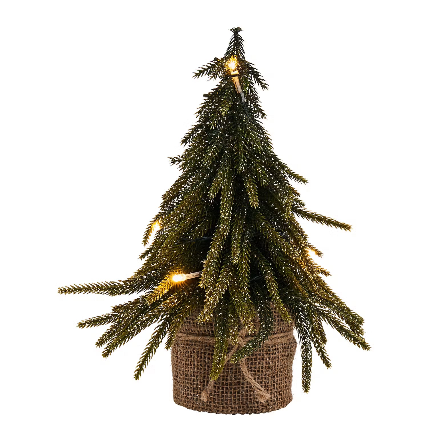 Weihnachtsbaum TREE OF THE MONTH