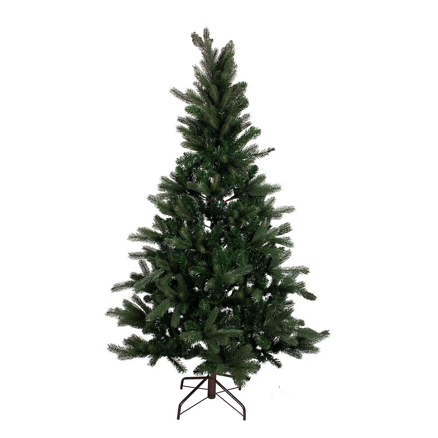 Weihnachtsbaum TREE OF THE MONTH