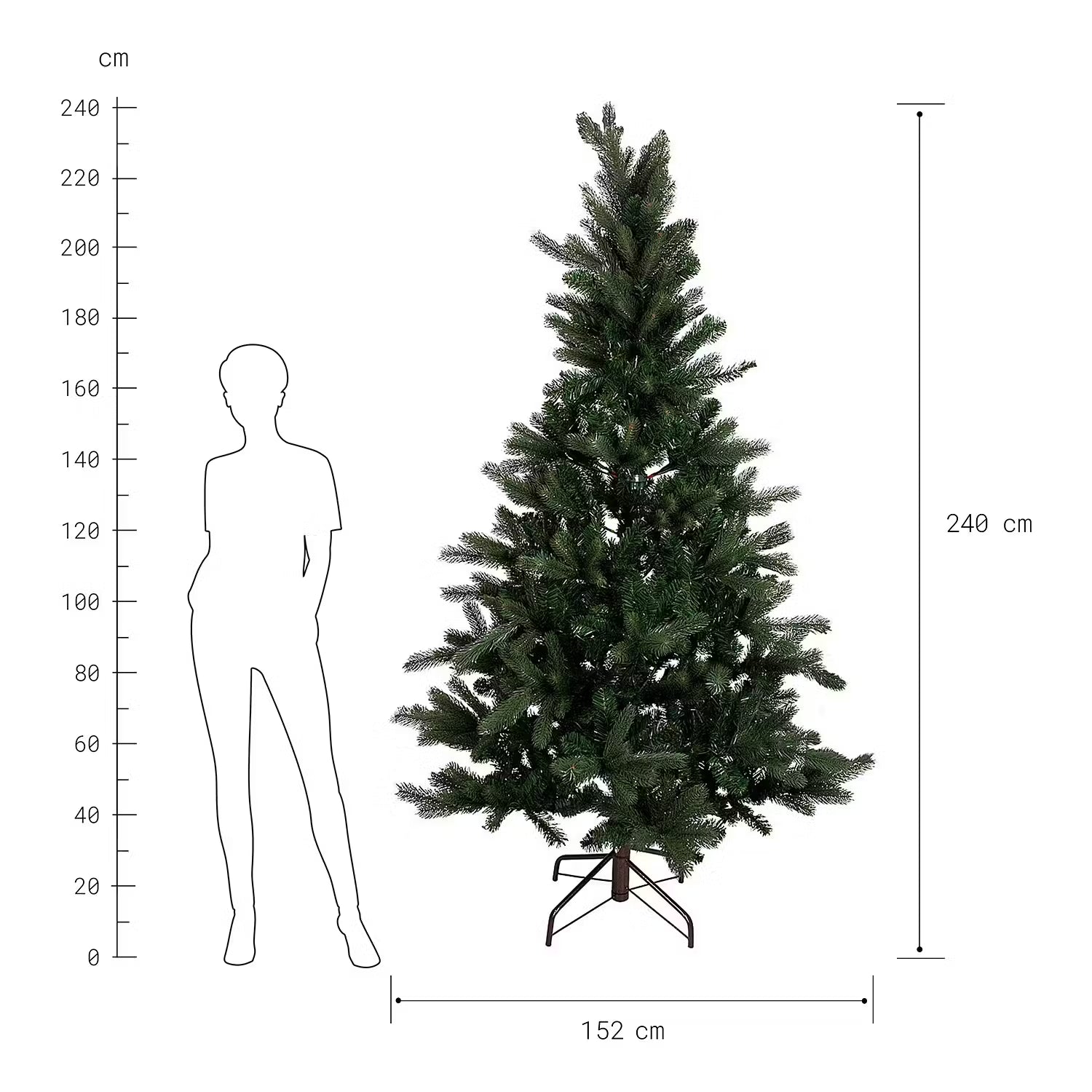 Weihnachtsbaum TREE OF THE MONTH