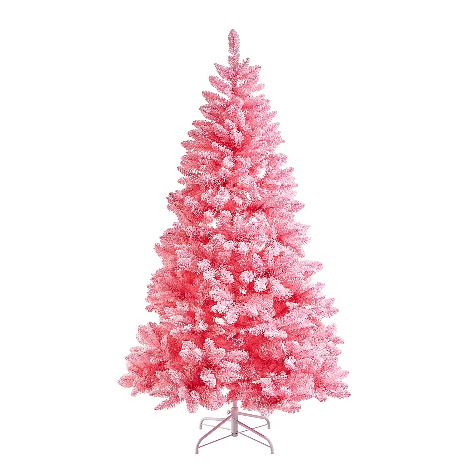 Weihnachtsbaum TREE OF THE MONTH