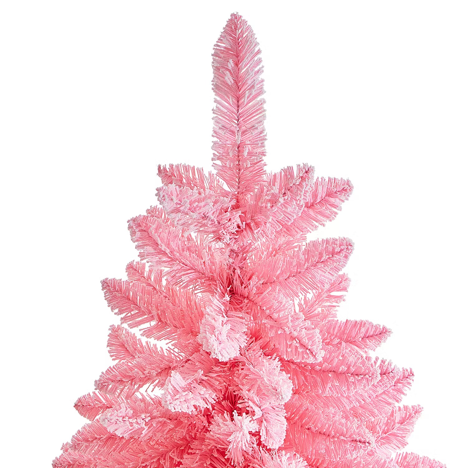 Weihnachtsbaum TREE OF THE MONTH