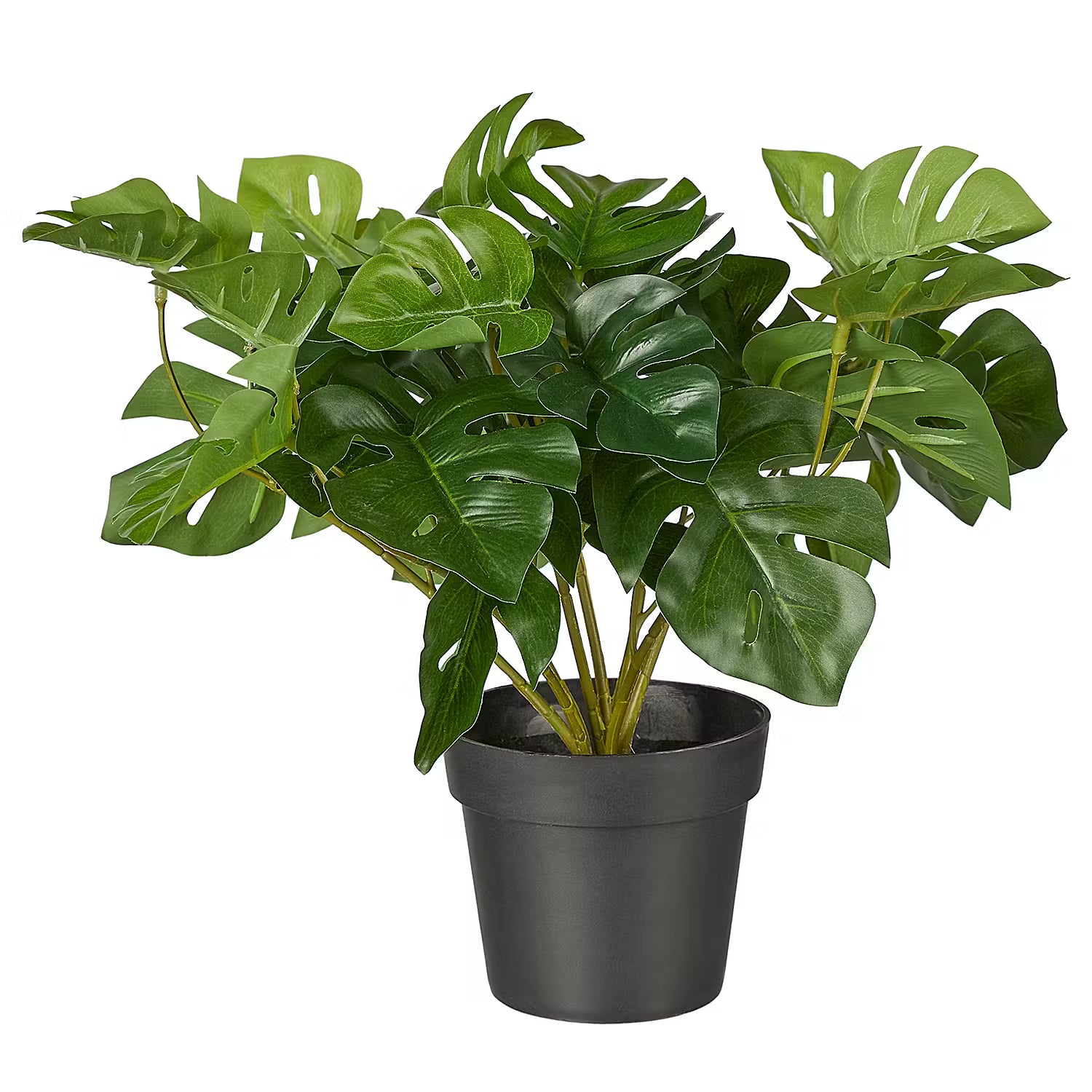 FLORISTA Kunstblume Monstera – BUTLERS