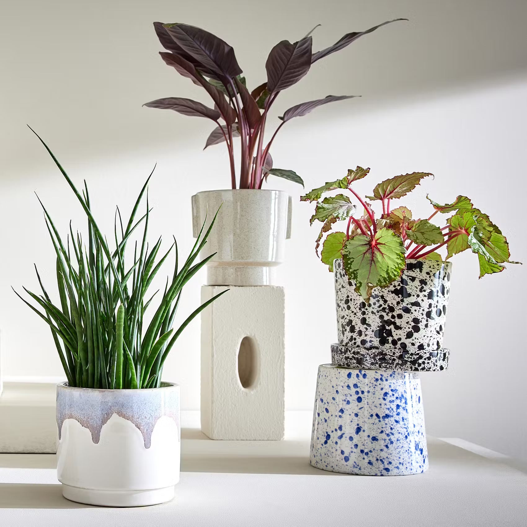 Blumenübertopf PAINTED 4er-Set
