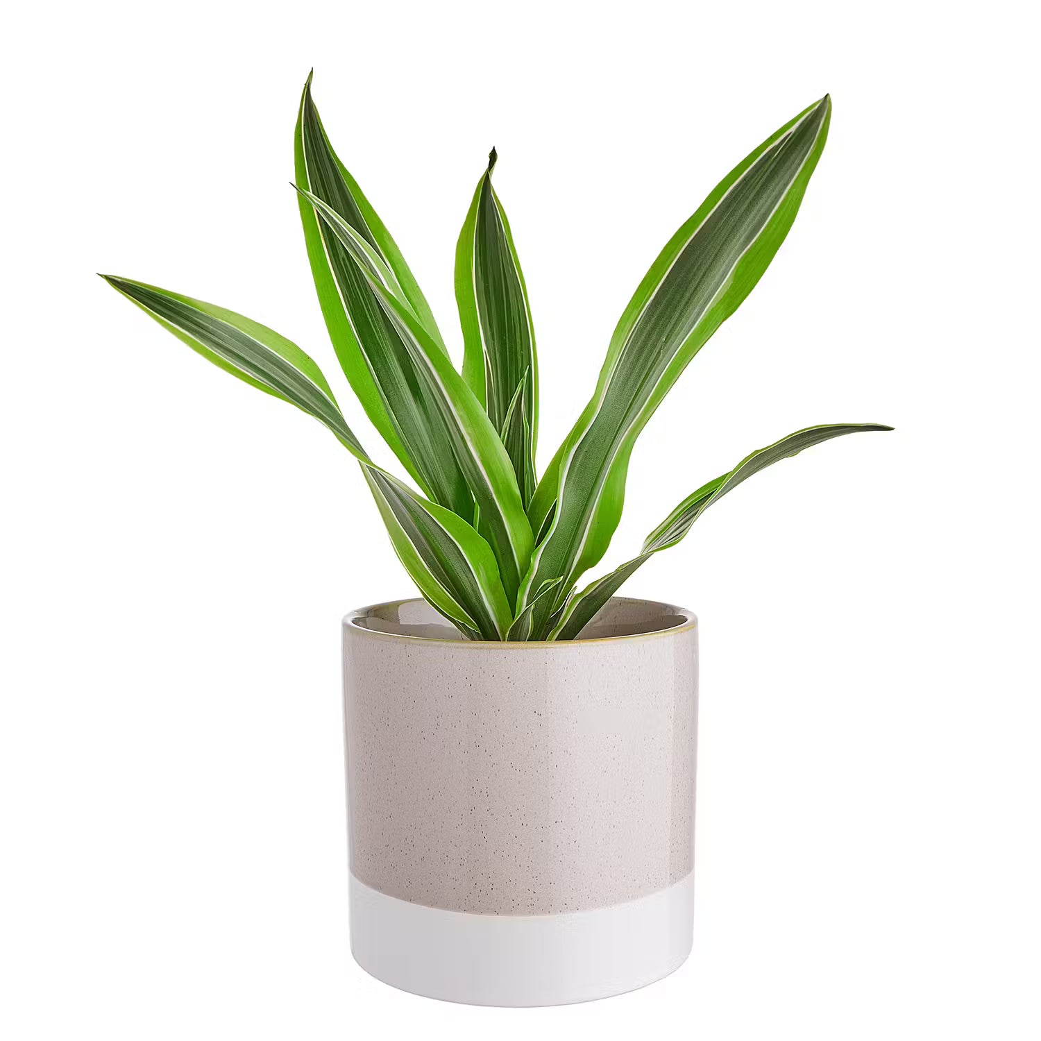 EARLY SPRING Blumentopf 4er-Set