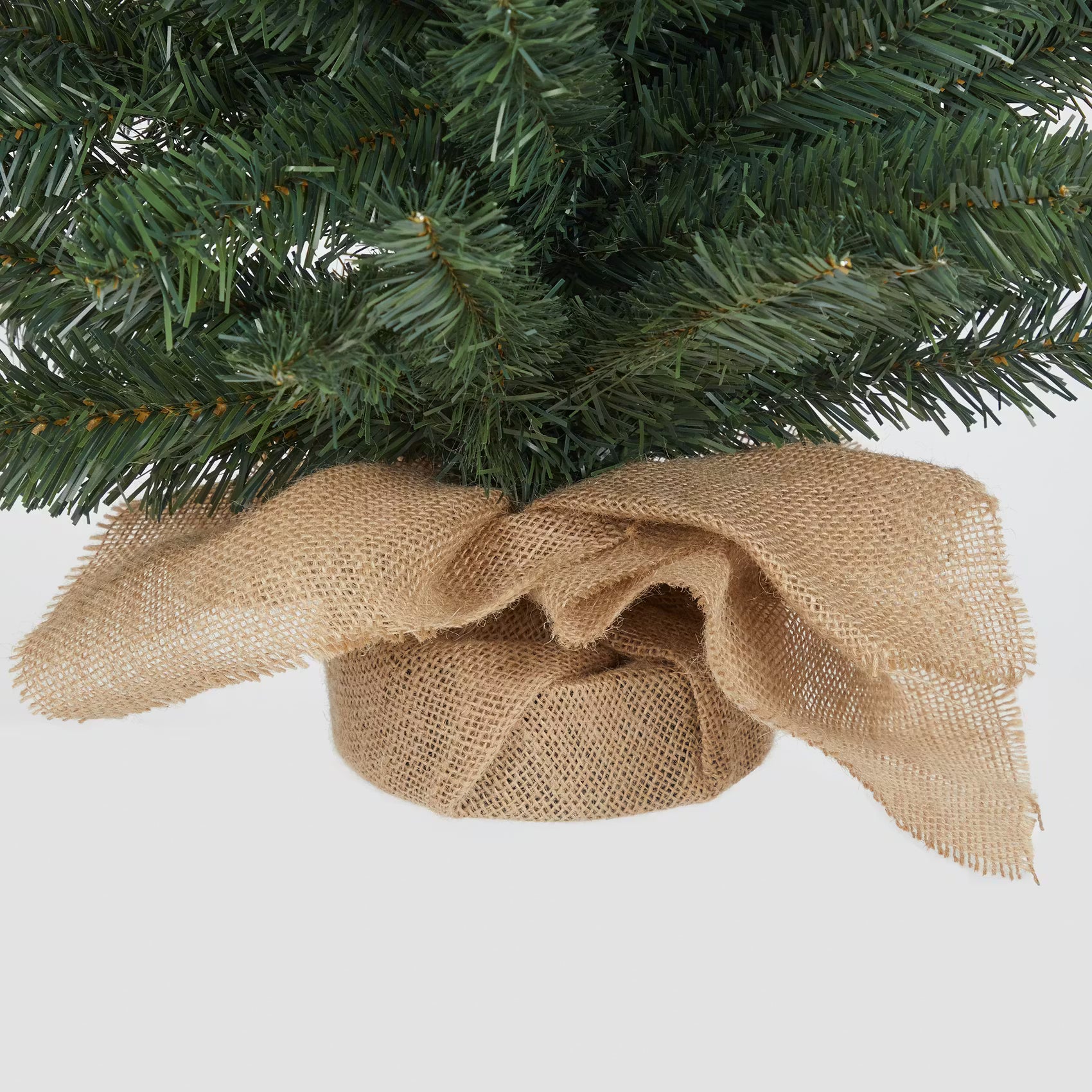 Weihnachtsbaum TREE OF THE MONTH