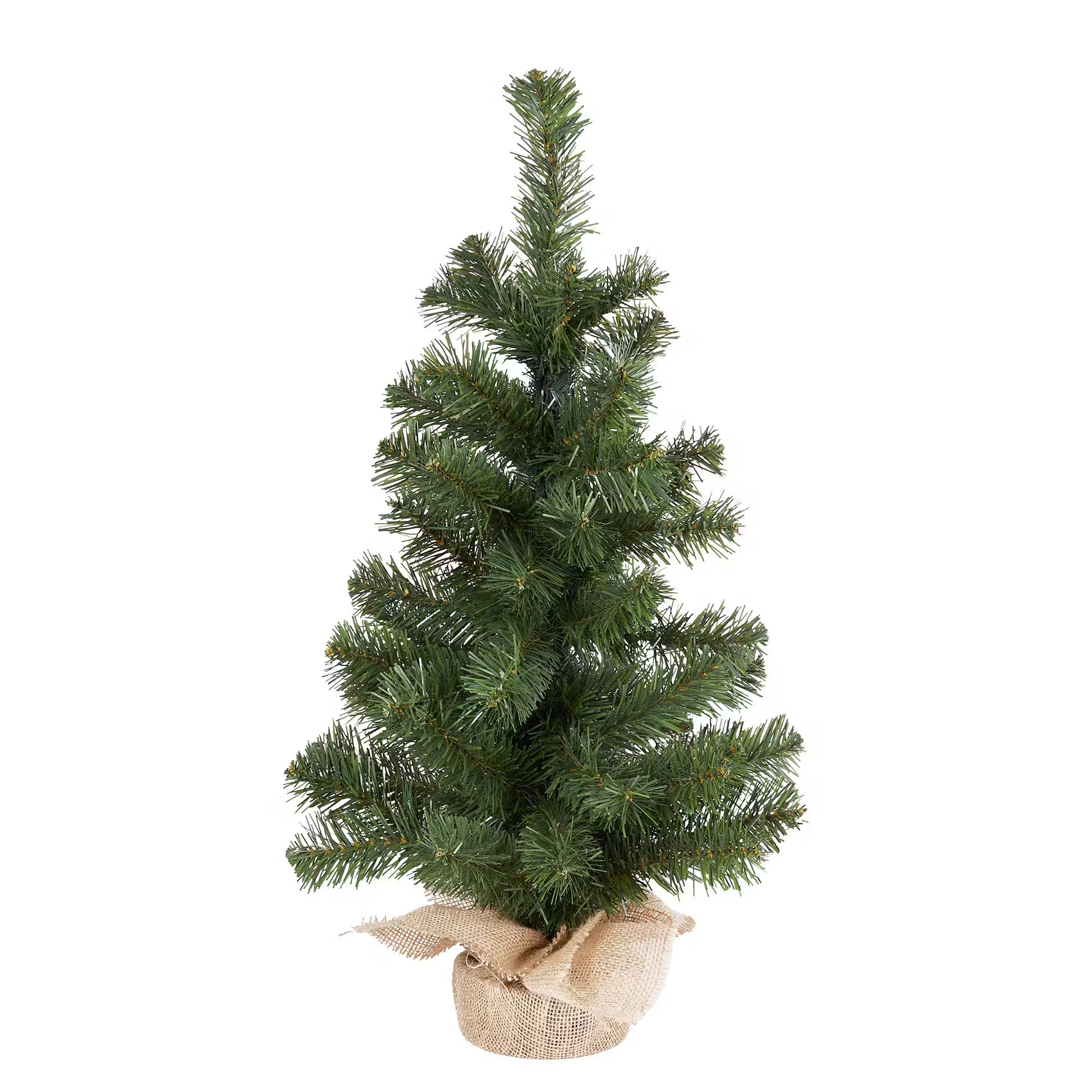 Weihnachtsbaum TREE OF THE MONTH