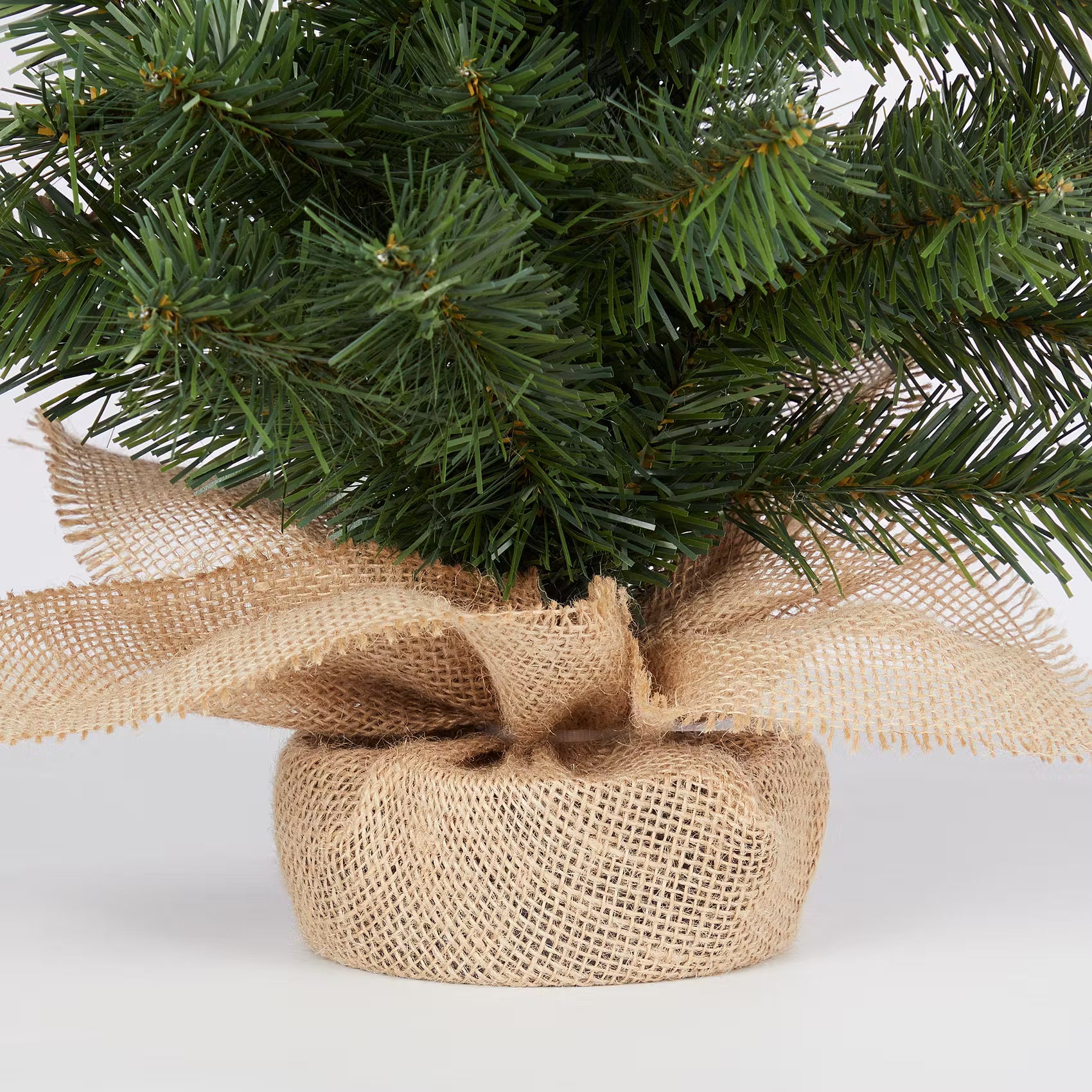 Weihnachtsbaum TREE OF THE MONTH