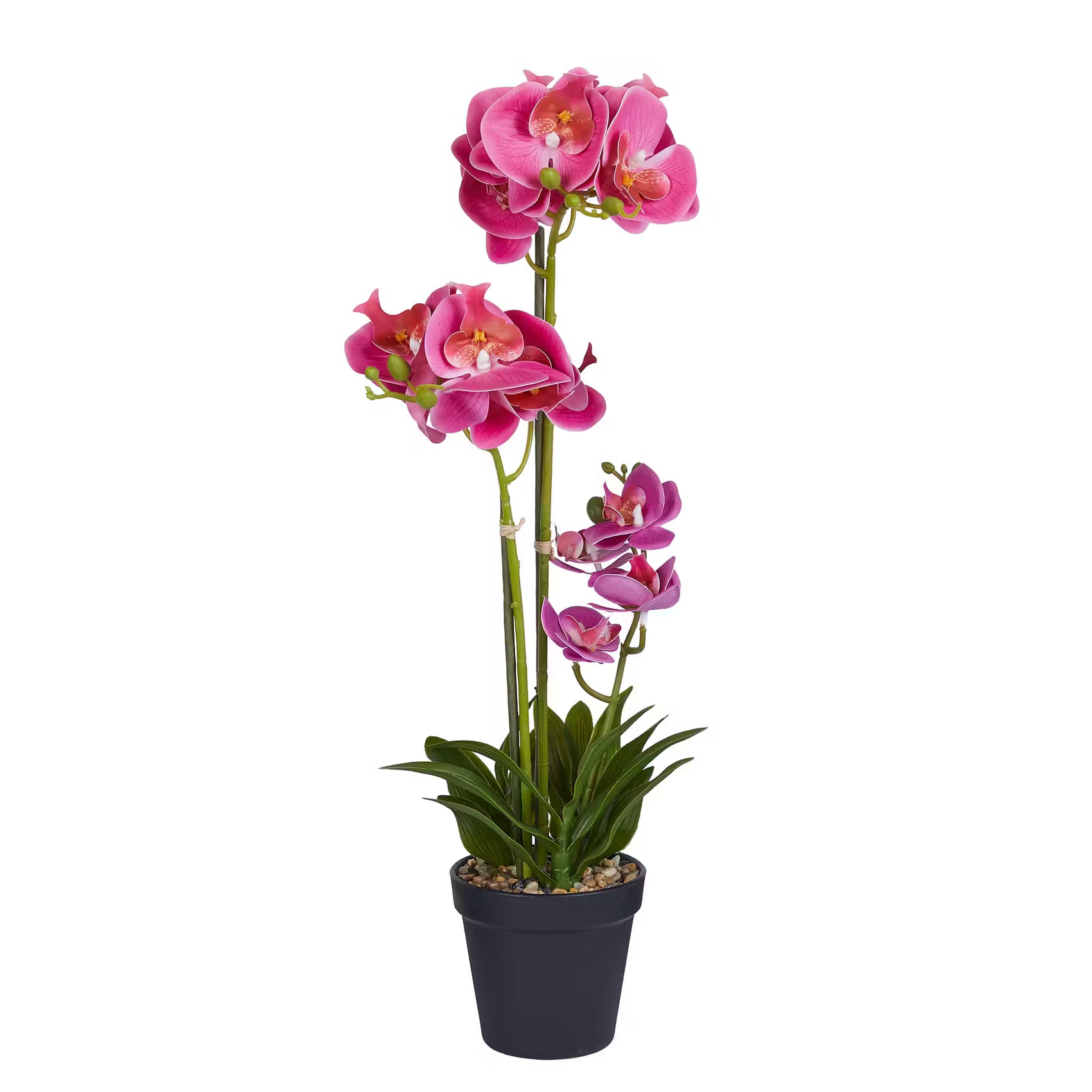 🌸 FLORISTA Kunstblume Orchidee – ewig schön