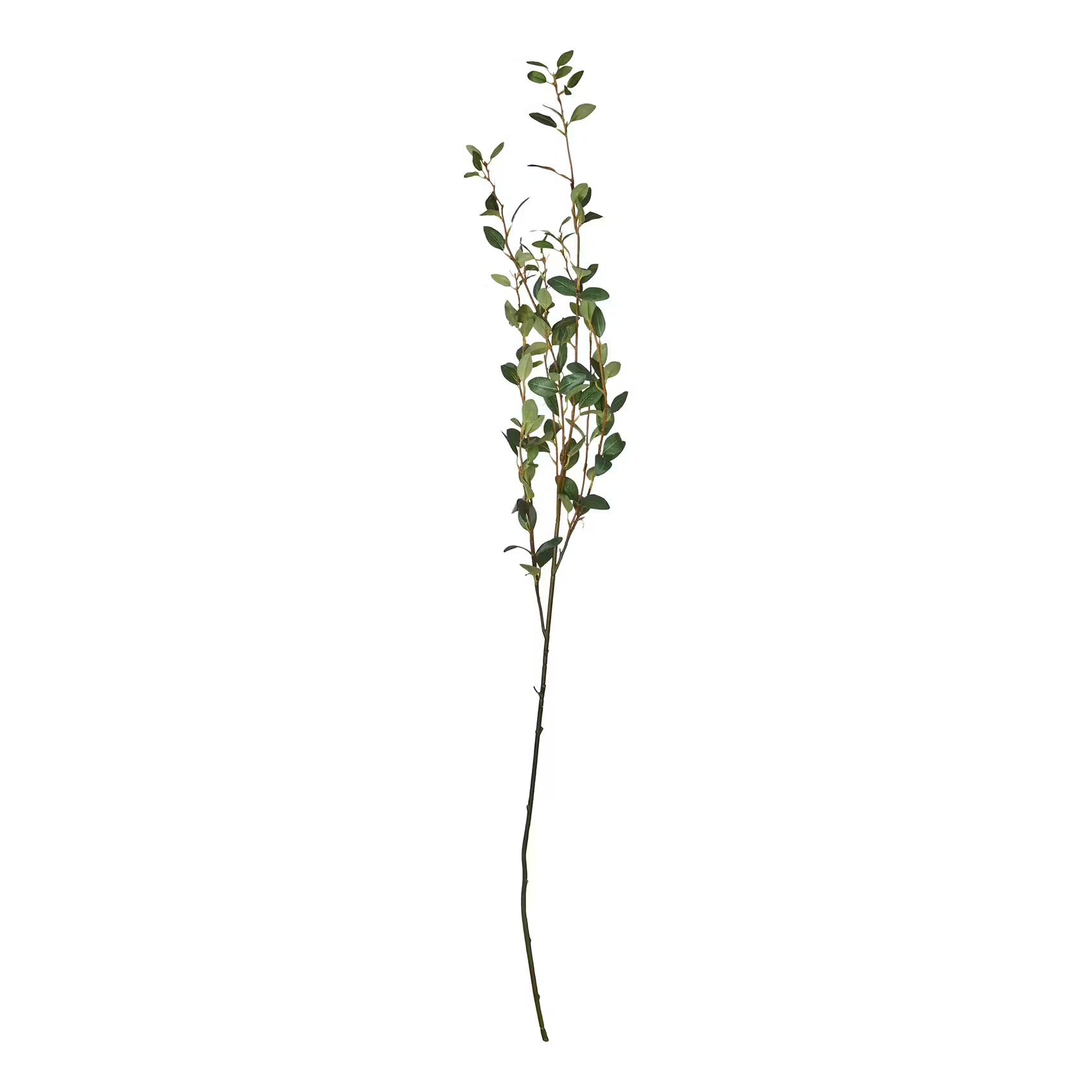 FLORISTA Weidenzweig L122cm – BUTLERS