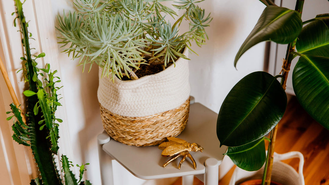 Dekorieren mit Kisten und Körben