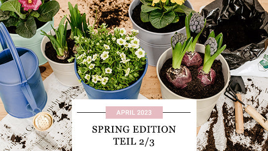 BUTLERS Mag Spring Edition Tipps zum Einpflanzen und Eintopfen