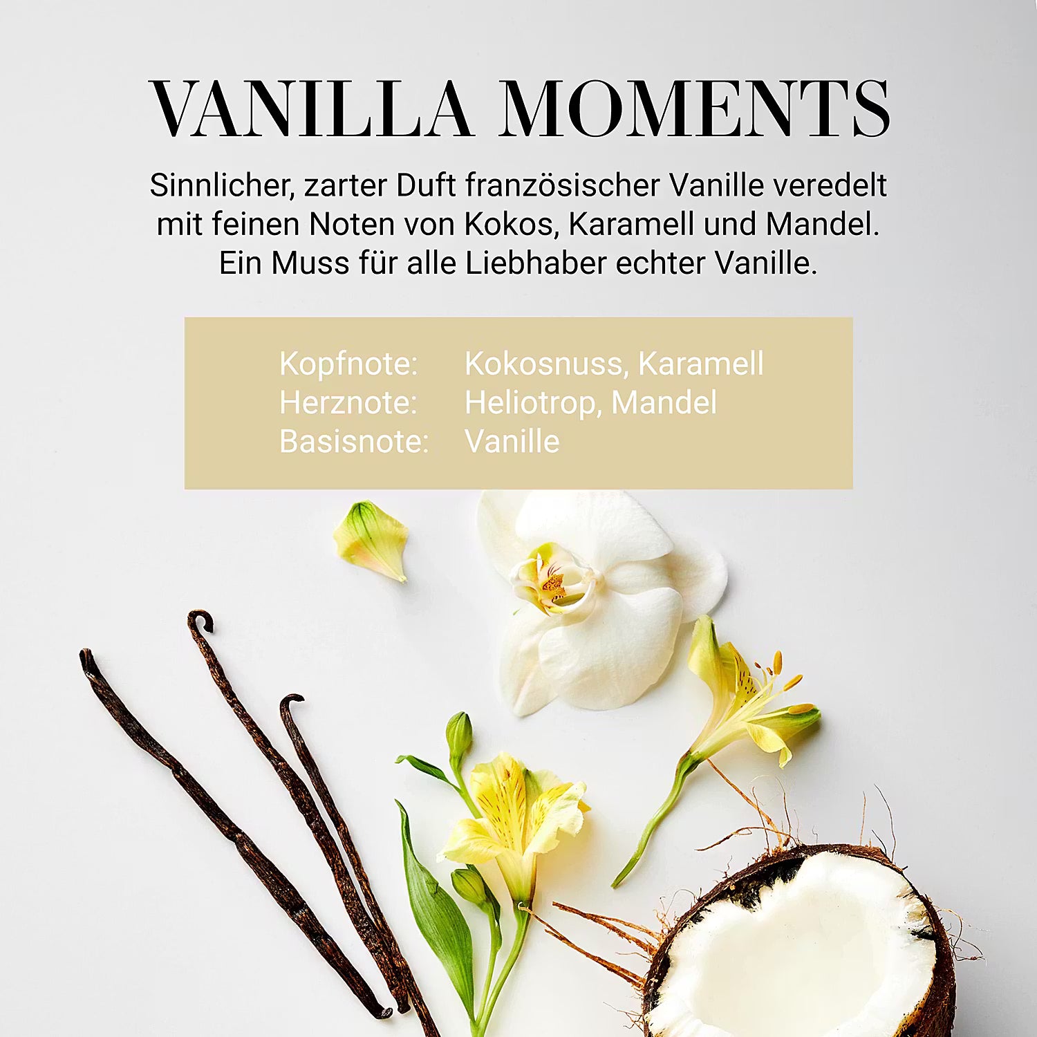 HOME & SOUL Duftkerze Vanilla Moments - Pinienholz / Sojawachs / Paraffin / Glas - Creme