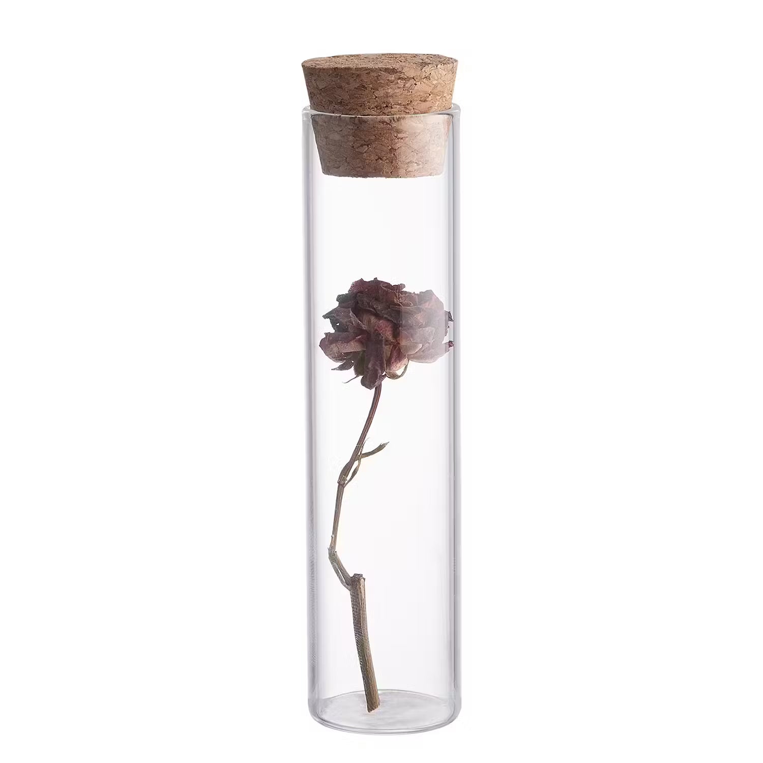 SHOWROOM Reagenzglas 3er-Set - Glas / Kork - Transparent