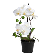 FLORISTA Orchidee im Topf - Eisen / Polyethylen - Weiß