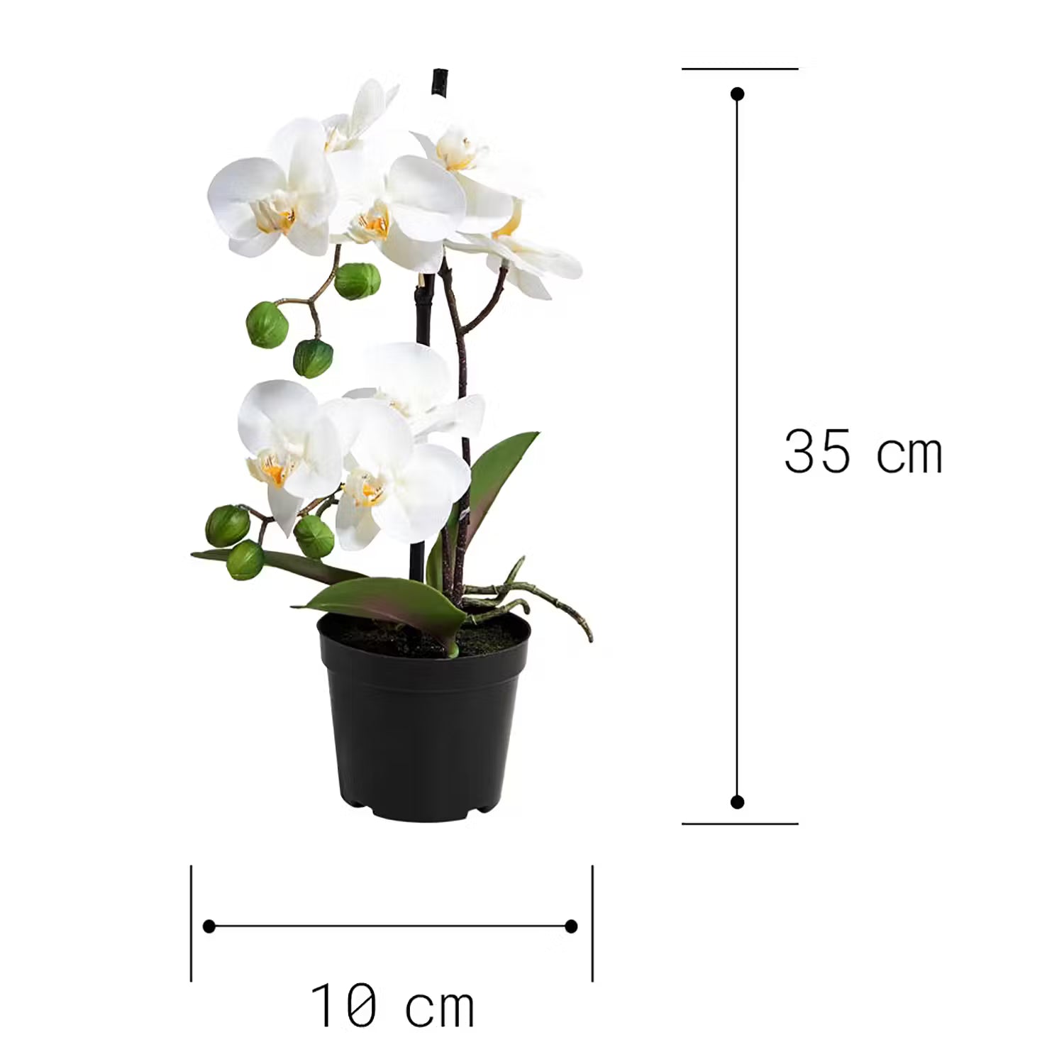 FLORISTA Orchidee im Topf - Eisen / Polyethylen - Weiß