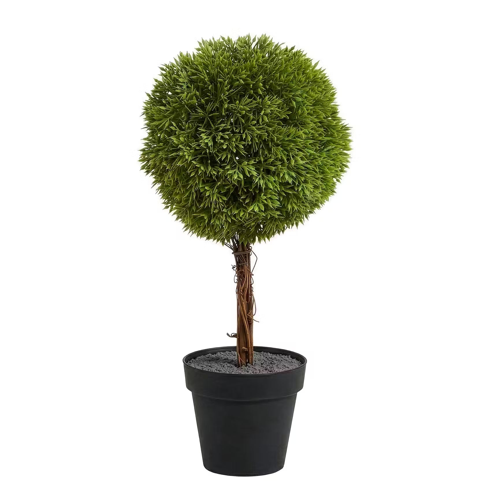 FLORISTA Buchsbäumchen im Topf - Eisen / Polyester PVC - Grün