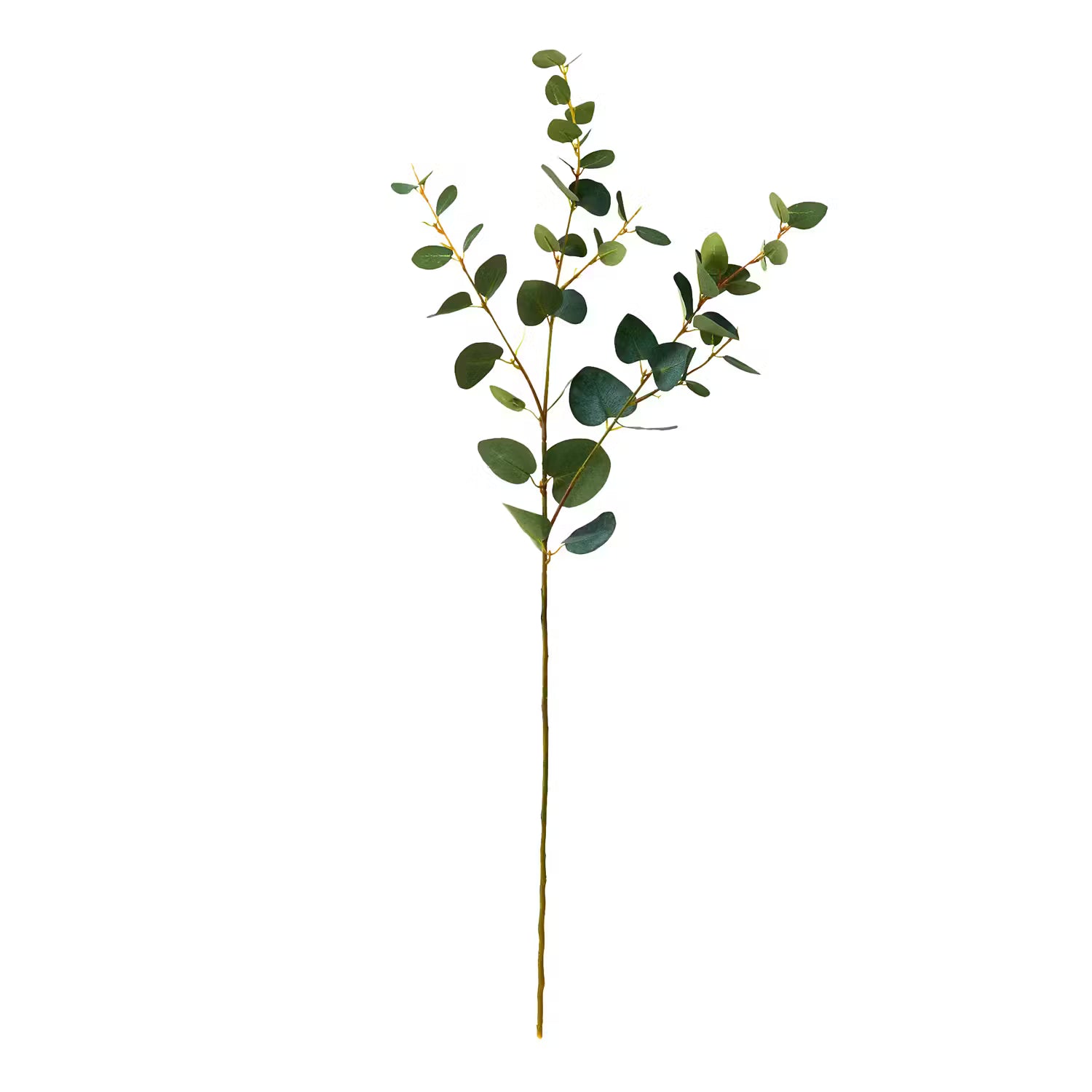 FLORISTA Eukalyptuszweig 4er-Set - PVC / Eisendraht / Polyethylen / Foam (Schaumstoff) - Grün