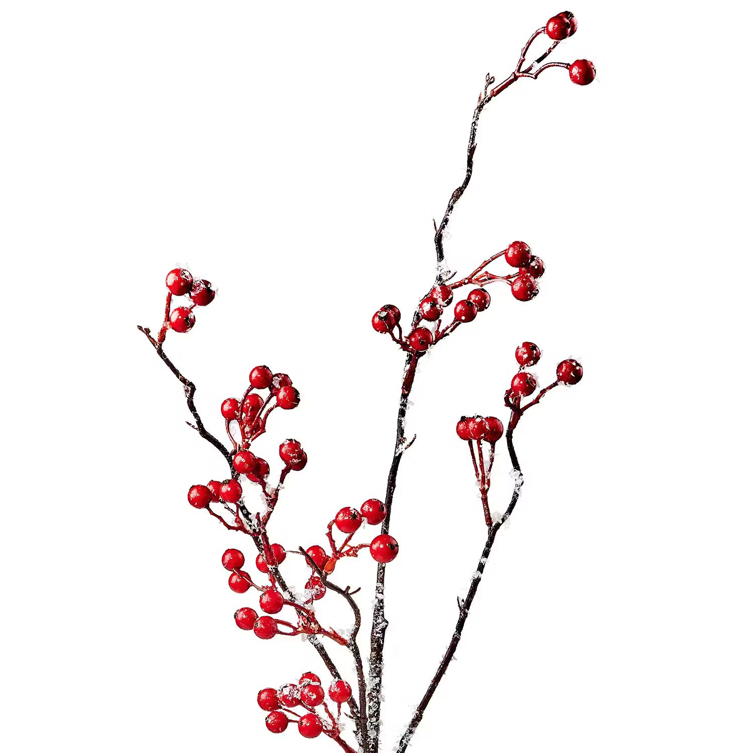 FLORISTA Beerenzweig 2er-Set - Eisen / Polyester PVC - Rot