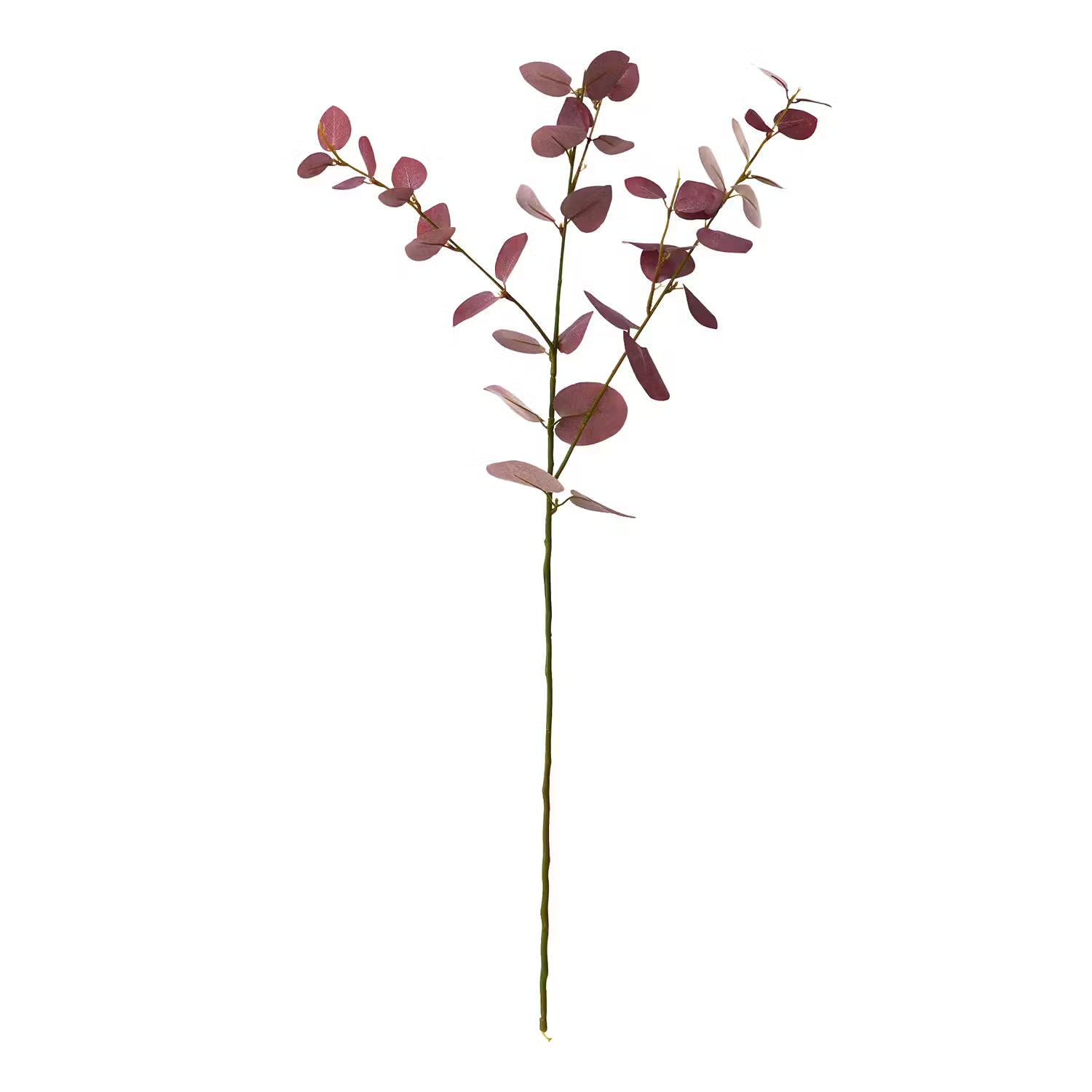 FLORISTA Eukalyptuszweig 4er-Set - PVC / Eisendraht / Polyethylen / Foam (Schaumstoff) - Rot