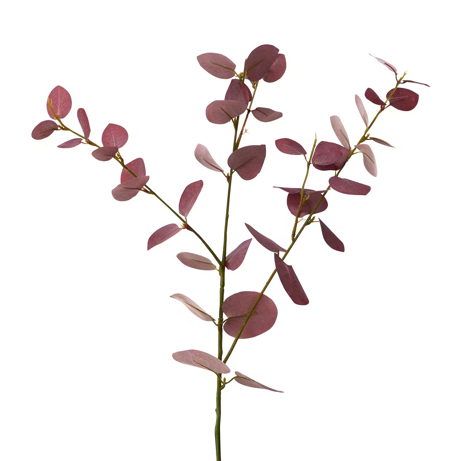 FLORISTA Eukalyptuszweig 4er-Set - PVC / Eisendraht / Polyethylen / Foam (Schaumstoff) - Rot