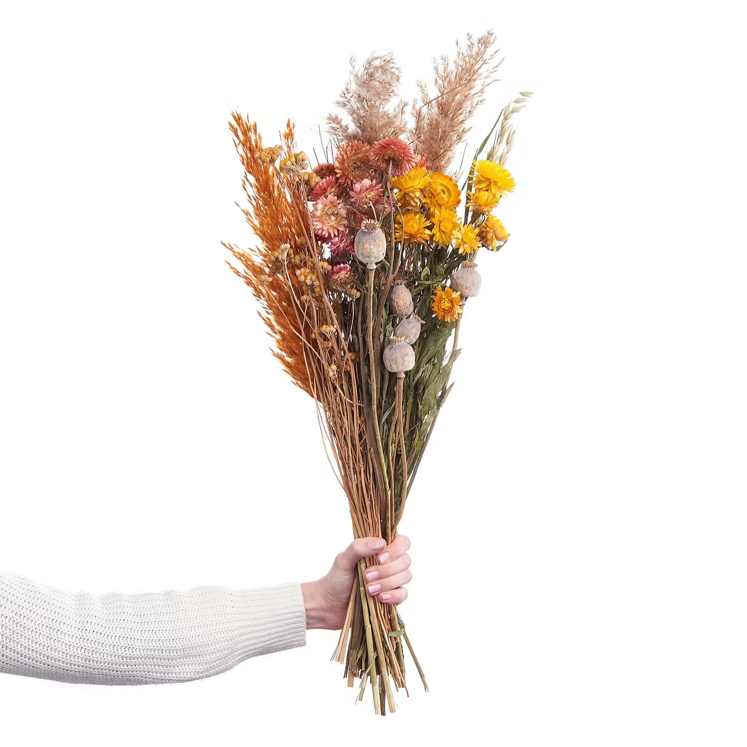 Trockenblumen Blumenstrauß FLOWER MARKET - Pflanzenblatt - Mehrfarbig