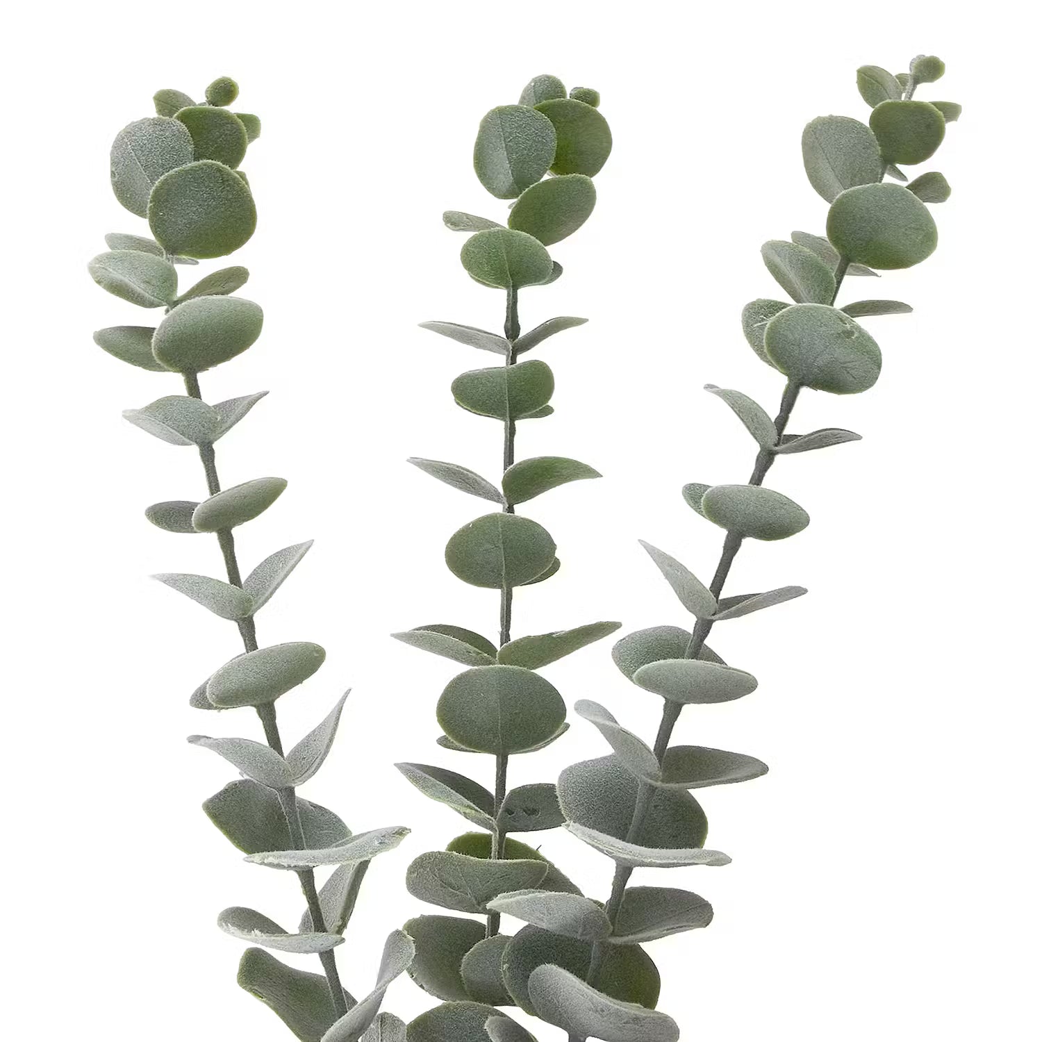 FLORISTA Eukalyptuszweig 4er-Set - Eisen / Polyester PVC - Salbei
