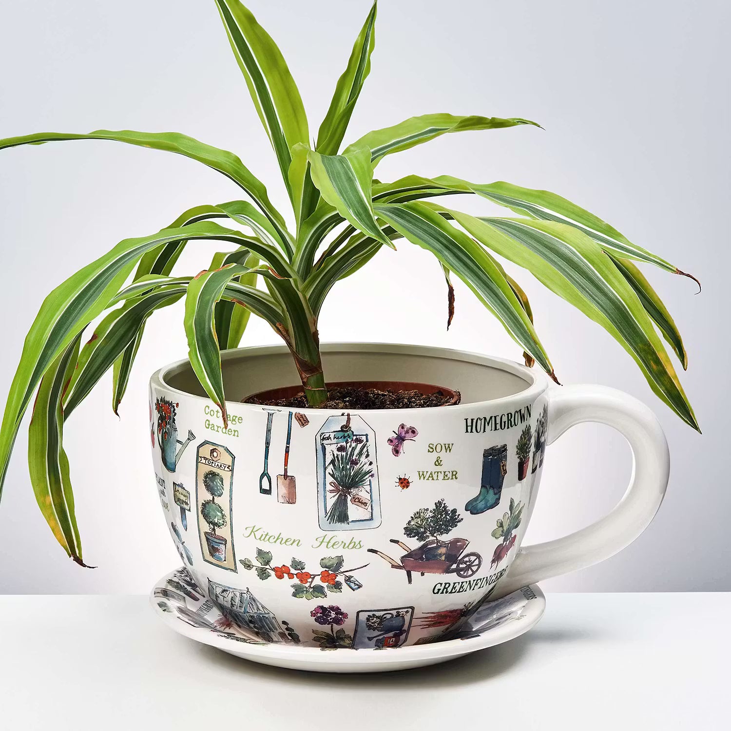 PLANT A CUP Pflanztasse Gartenkräuter - Dolomit - Mehrfarbig