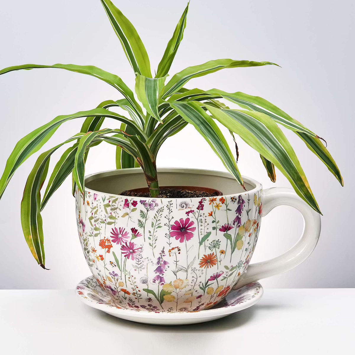 🌸 PLANT A CUP Pflanztasse – Romantischer Blumenzauber – BUTLERS