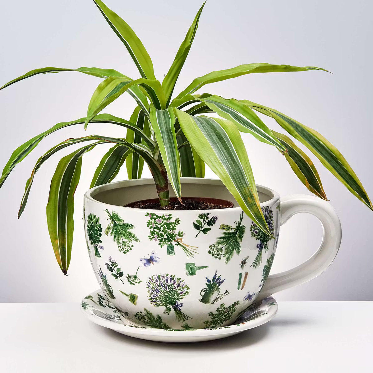 butlers plant a cup PLANT A CUP Pflanztasse Lavendel