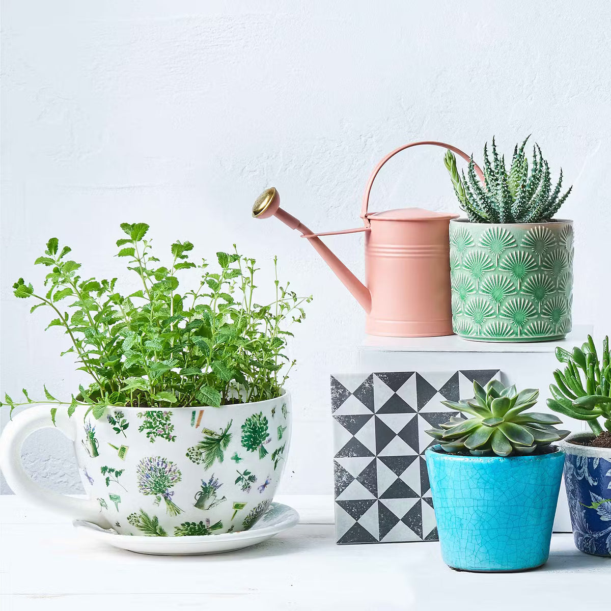 PLANT A CUP Pflanztasse Lavendel