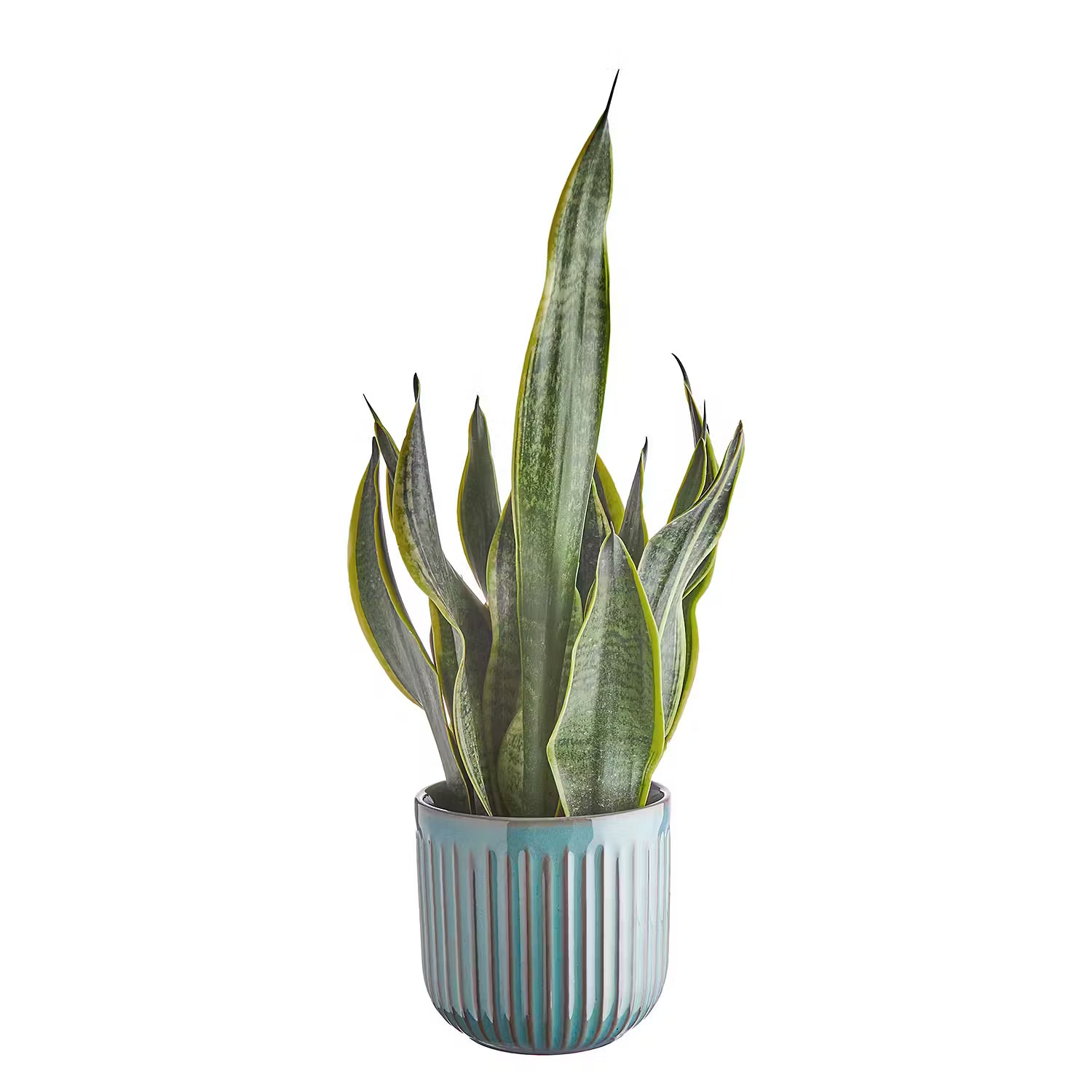 CUBIST Blumentopf  - Steingut - Braun