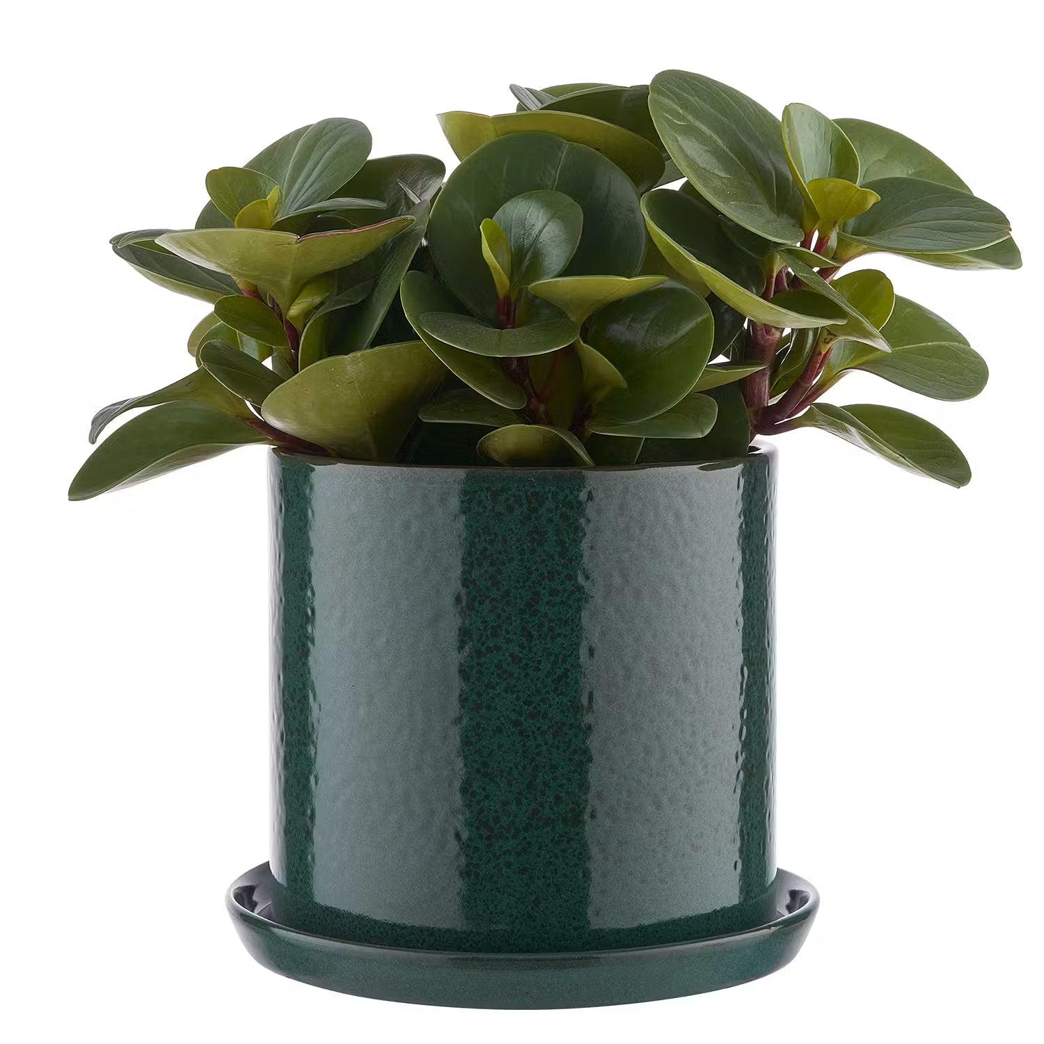 PLANT PLACE Blumentopf mit Teller - Terracotta - Dunkelblau