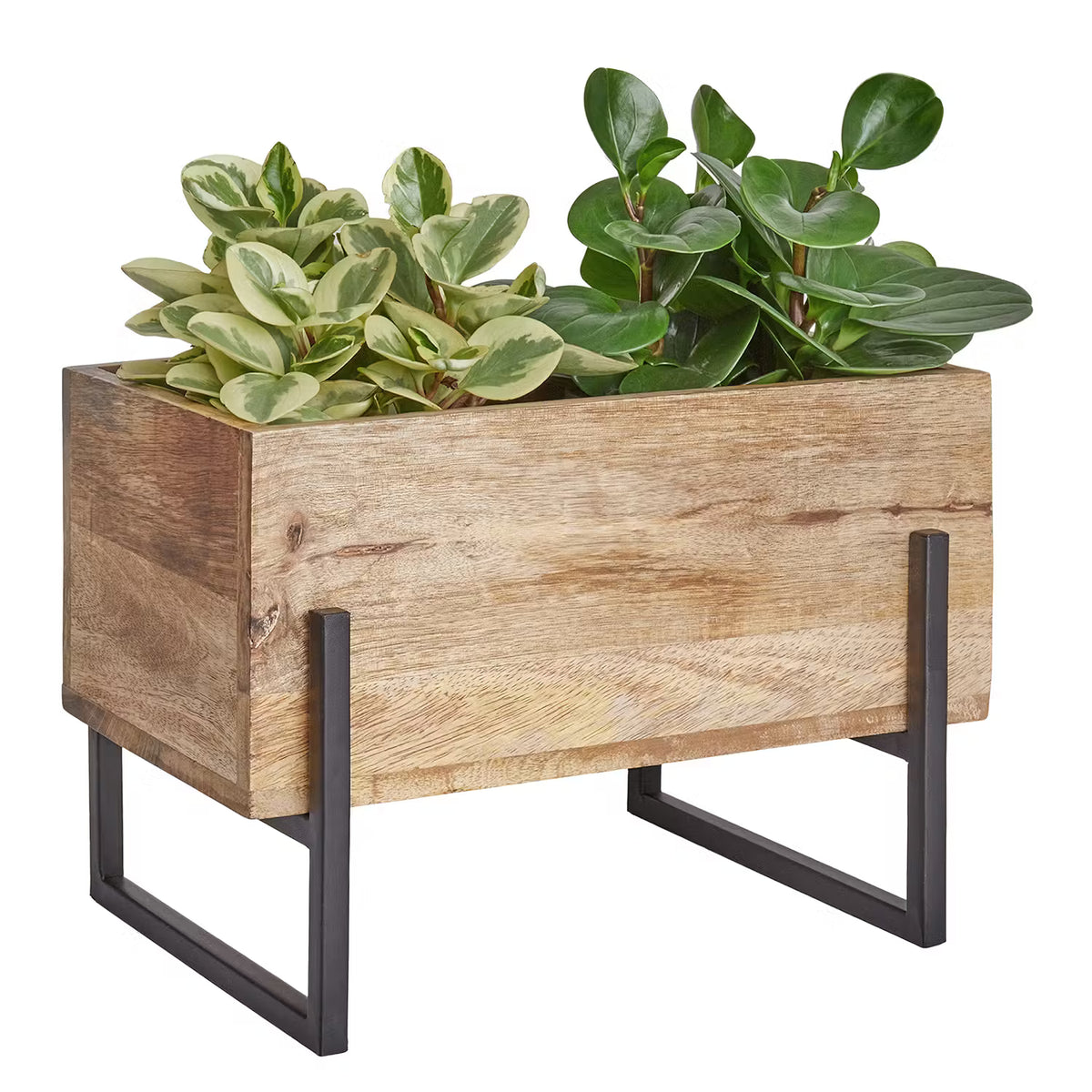 🌱 STANDARD SUPPLY Pflanzkasten mit Gestell – Urban Gardening – BUTLERS