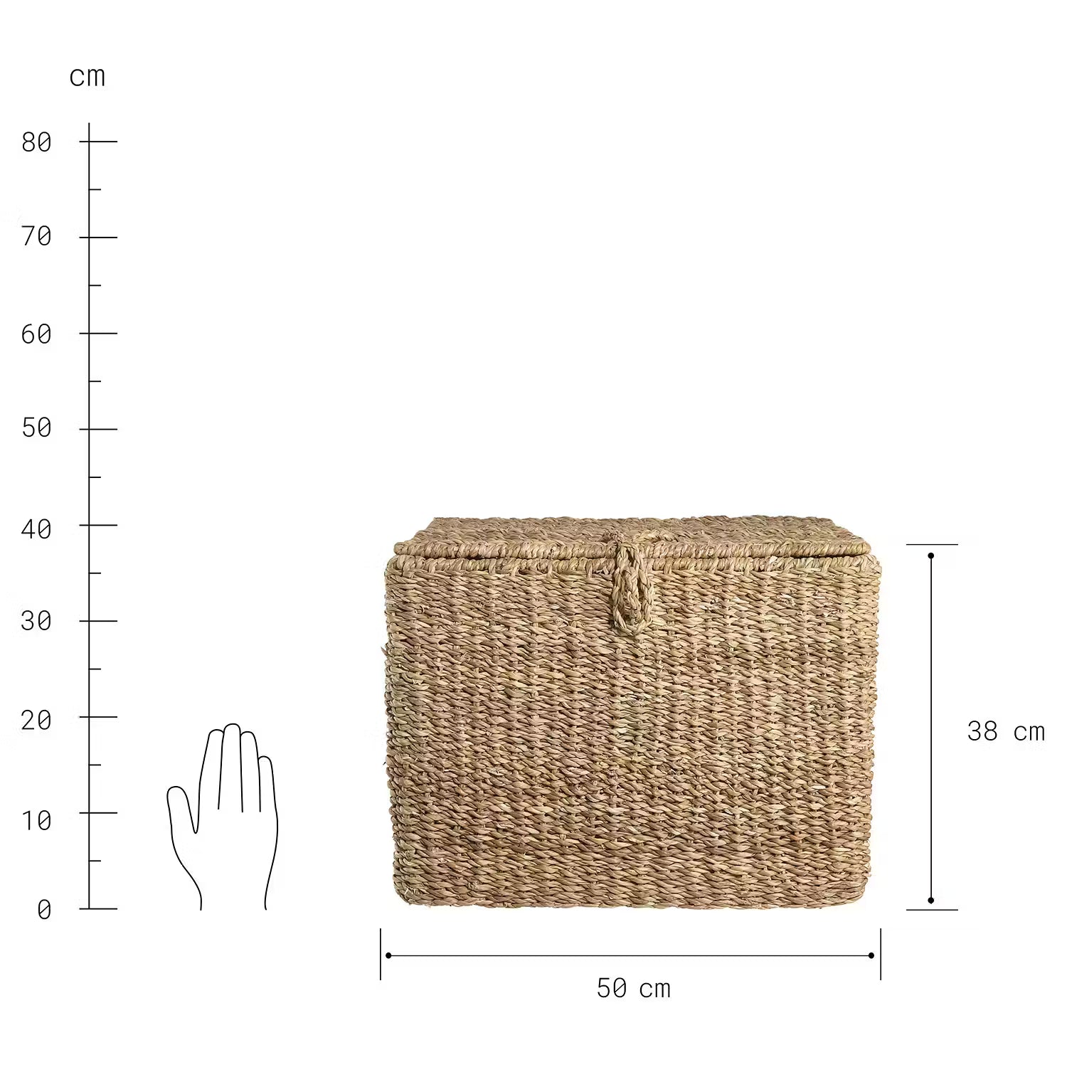 ERLA Aufbewahrungstruhe - Typha - Natur - 35 x 50 cm