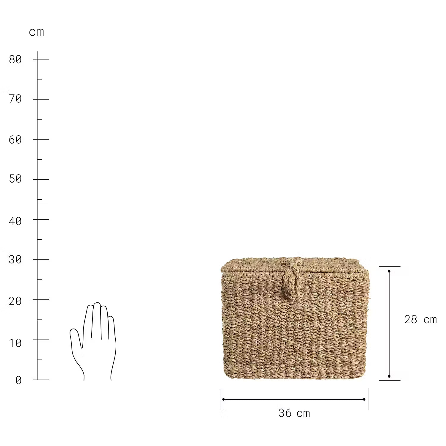 ERLA Aufbewahrungstruhe - Typha - Natur - 21 x 36 cm
