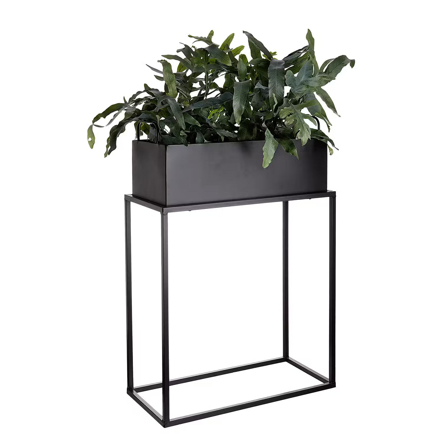 PLANTA Pflanzkasten mit Gestell - Eisen - Schwarz - 45 x 65 cm