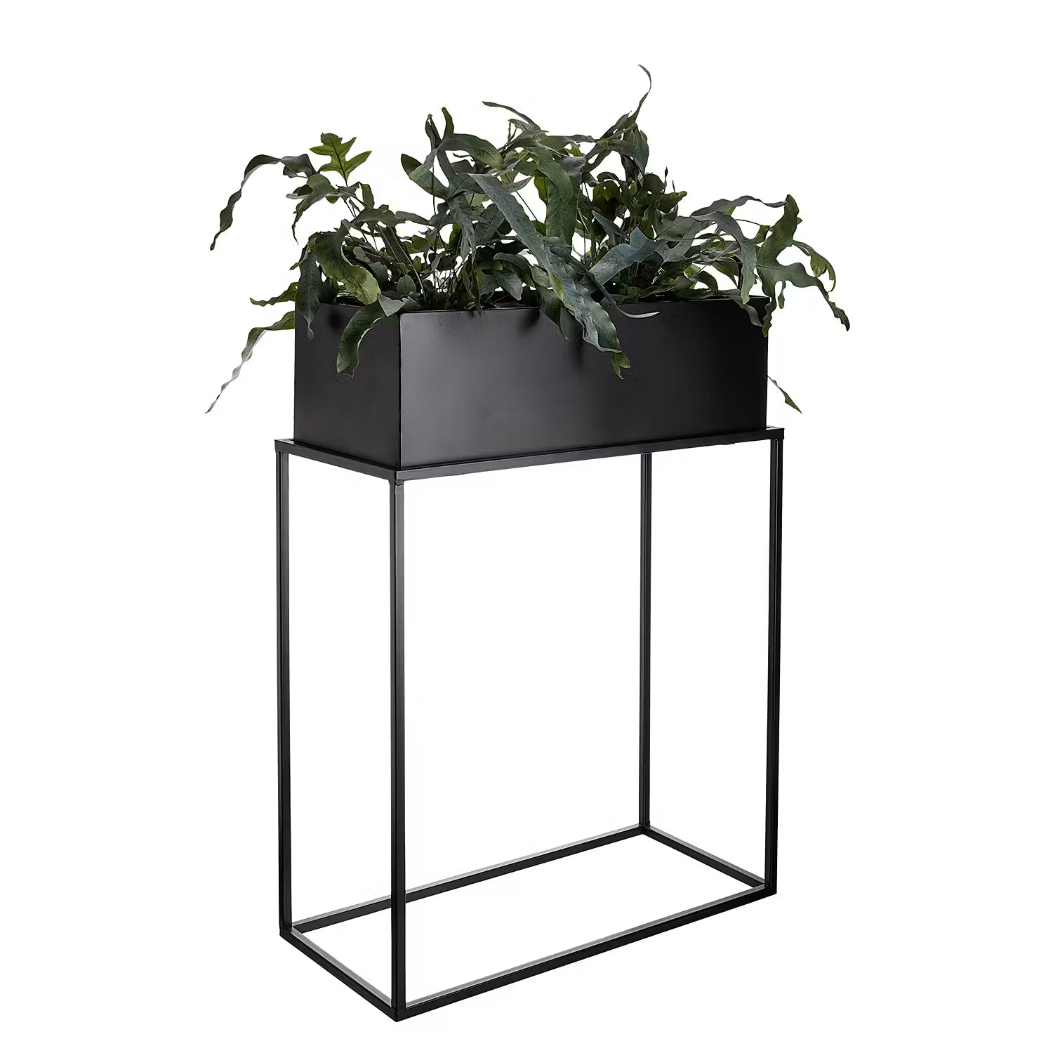 PLANTA Pflanzkasten mit Gestell - Eisen - Schwarz - 55 x 78 cm