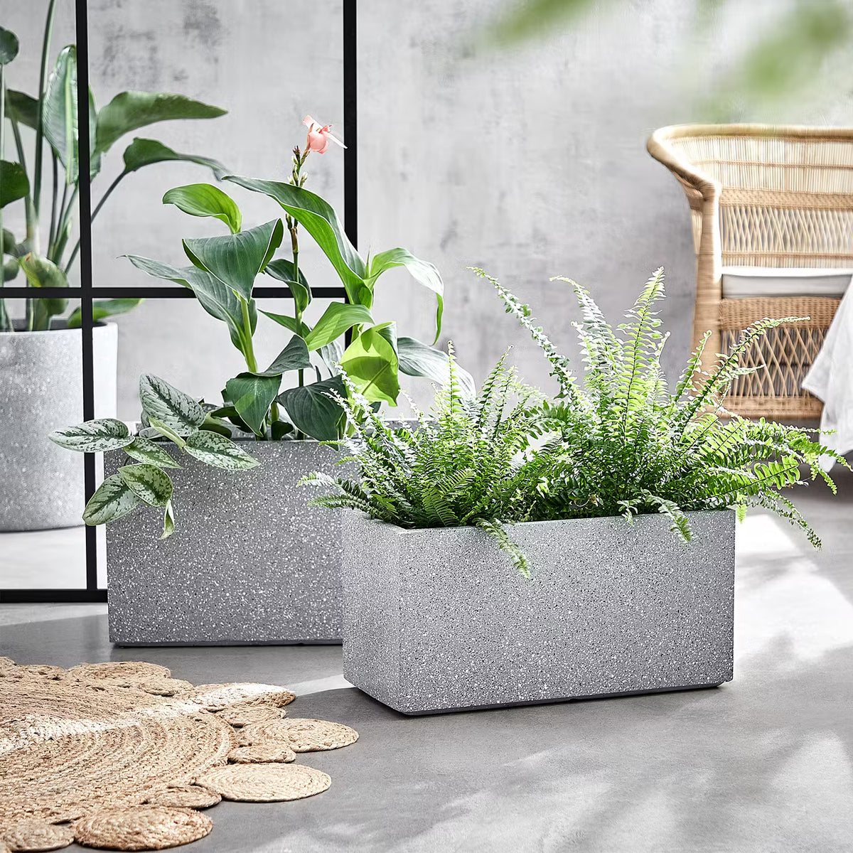 🌱 CONCRETE Pflanzkasten – Urbanes Design für Pflanzen – BUTLERS