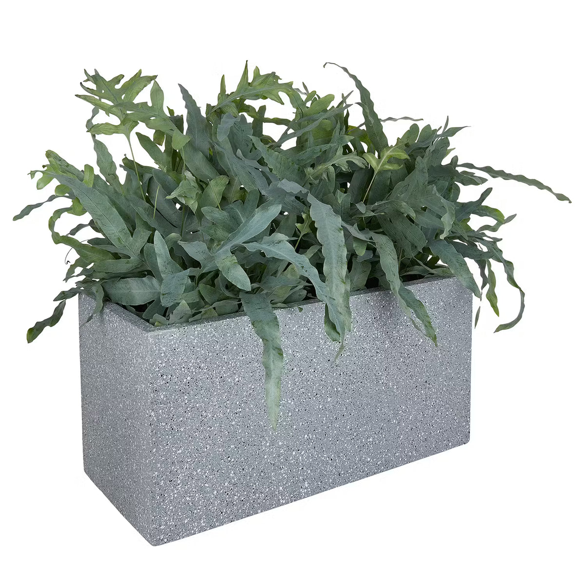 🌱 CONCRETE Pflanzkasten – Urbanes Design für Pflanzen – BUTLERS