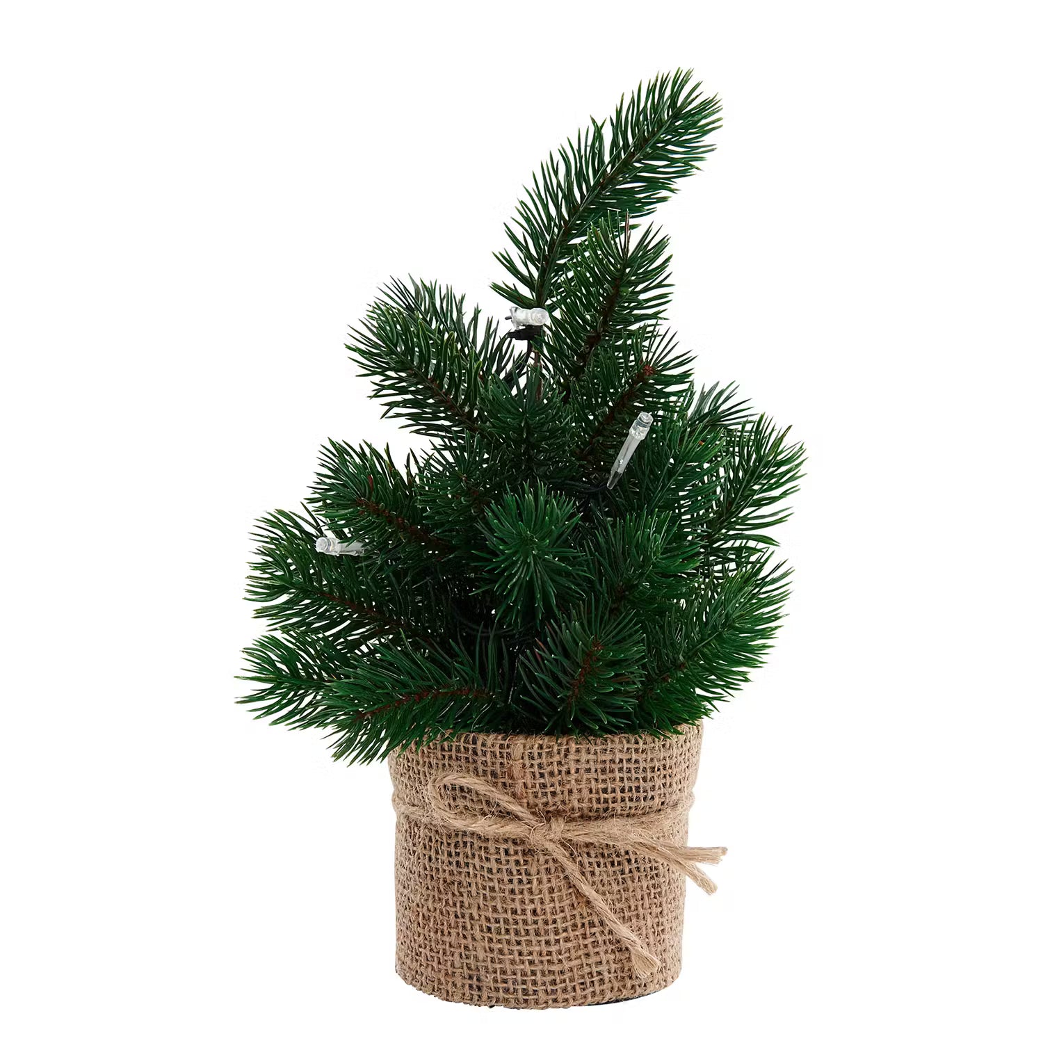 Weihnachtsbaum TREE OF THE MONTH