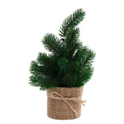 Weihnachtsbaum TREE OF THE MONTH