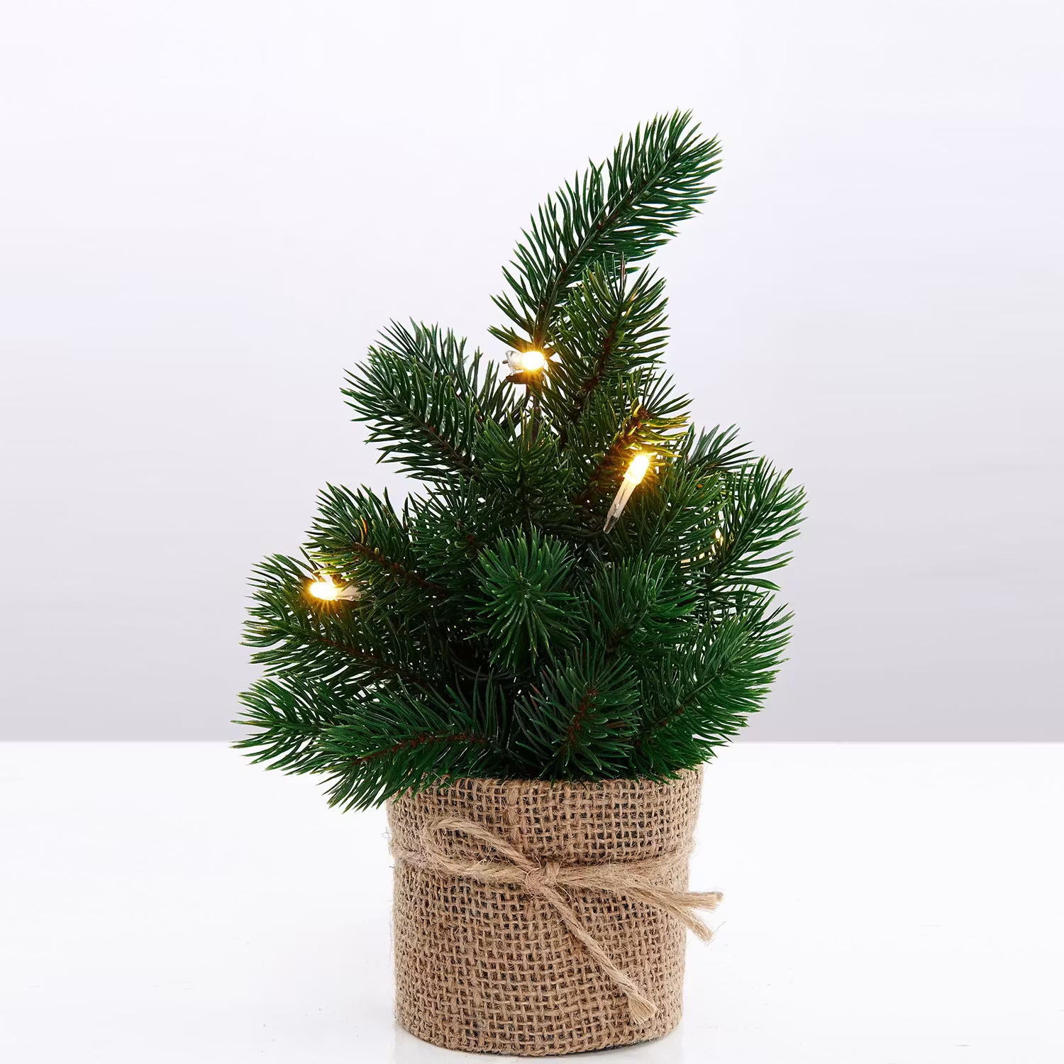 Weihnachtsbaum TREE OF THE MONTH