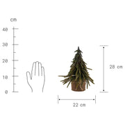 Weihnachtsbaum TREE OF THE MONTH