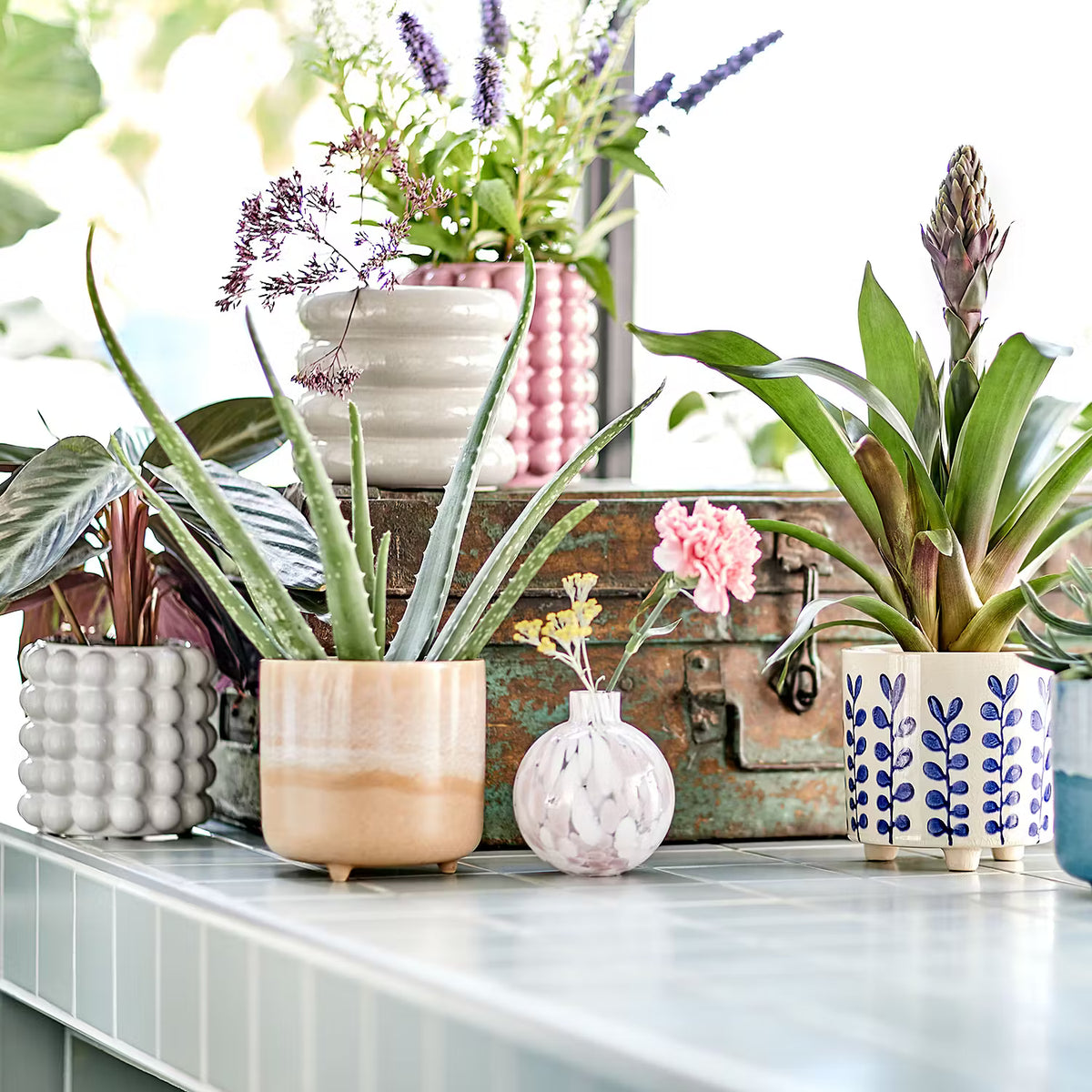 HOOP Blumentopf | Jetzt bestellen   BUTLERS