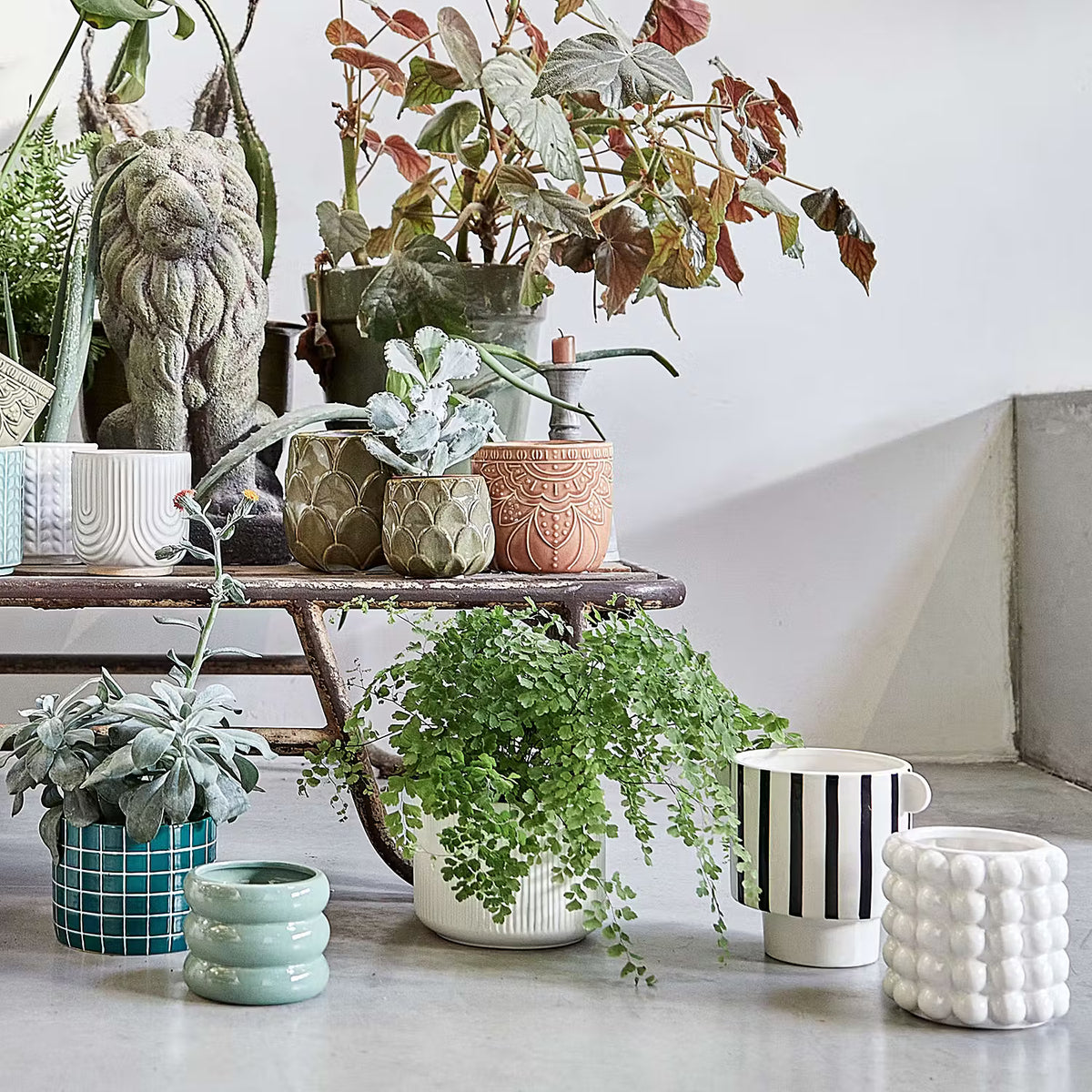 LIV Blumentopf online kaufen 🌿 – BUTLERS