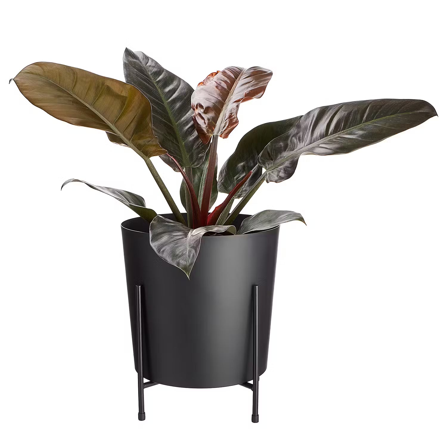 PLANTA Pflanztopf - Eisen - Schwarz