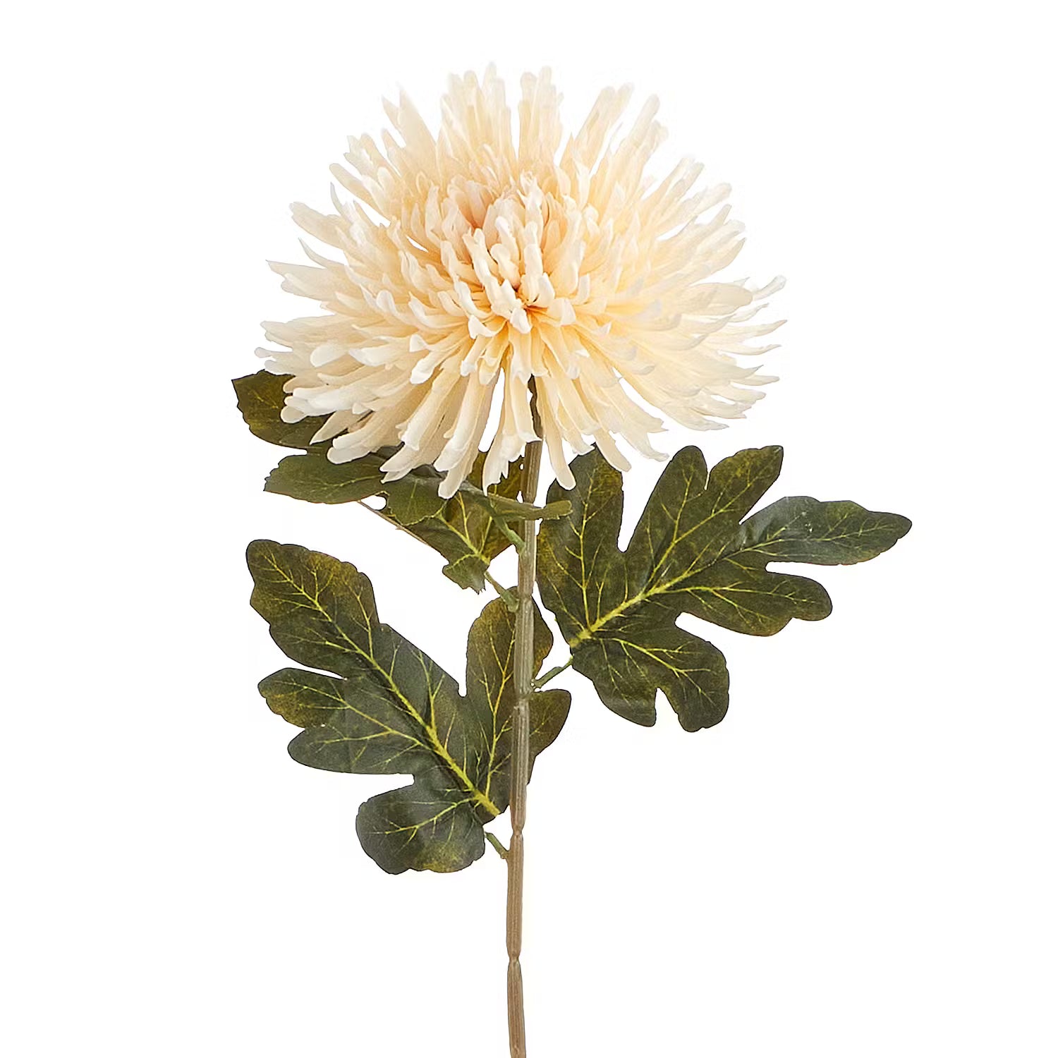 FLORISTA Kunstblume Chrysantheme - Polyester - Creme