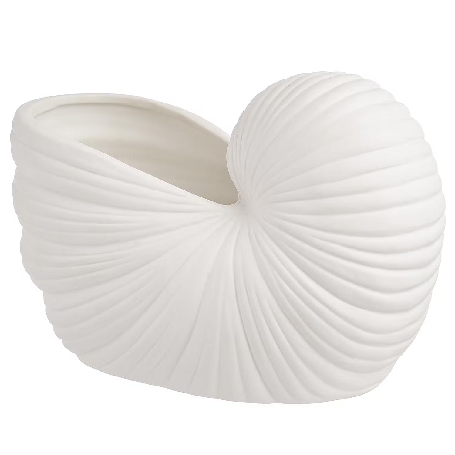 SCALLOP Muschel - Steinzeug - Weiß